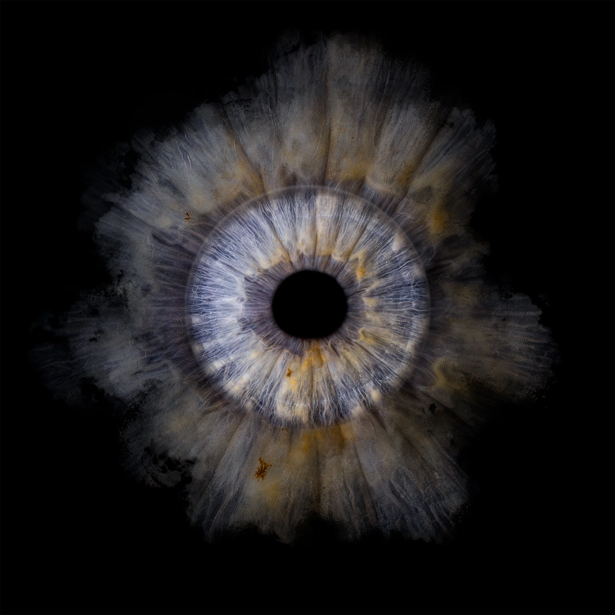 Single Powder 2048px JPG.jpg