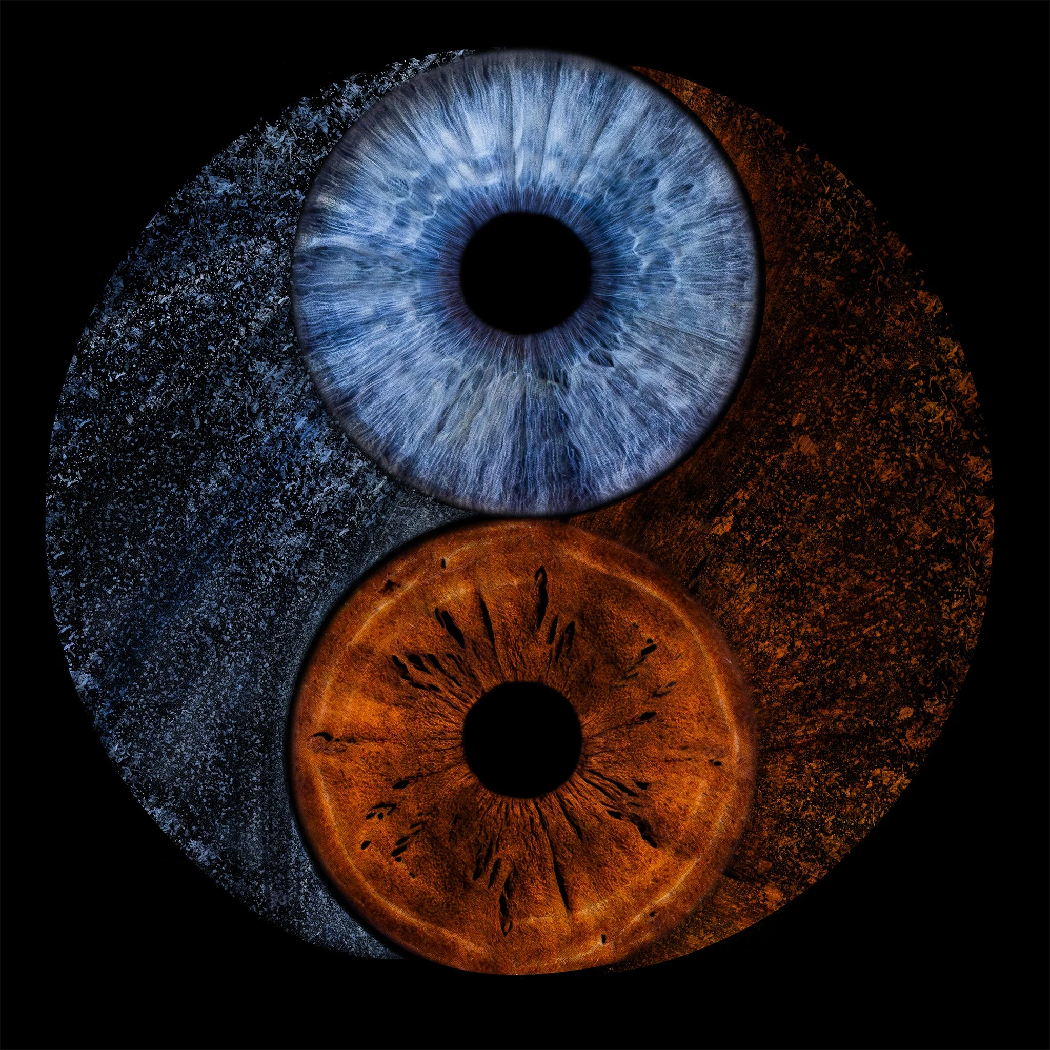 Russ_Solange YinYang 2048px.jpg