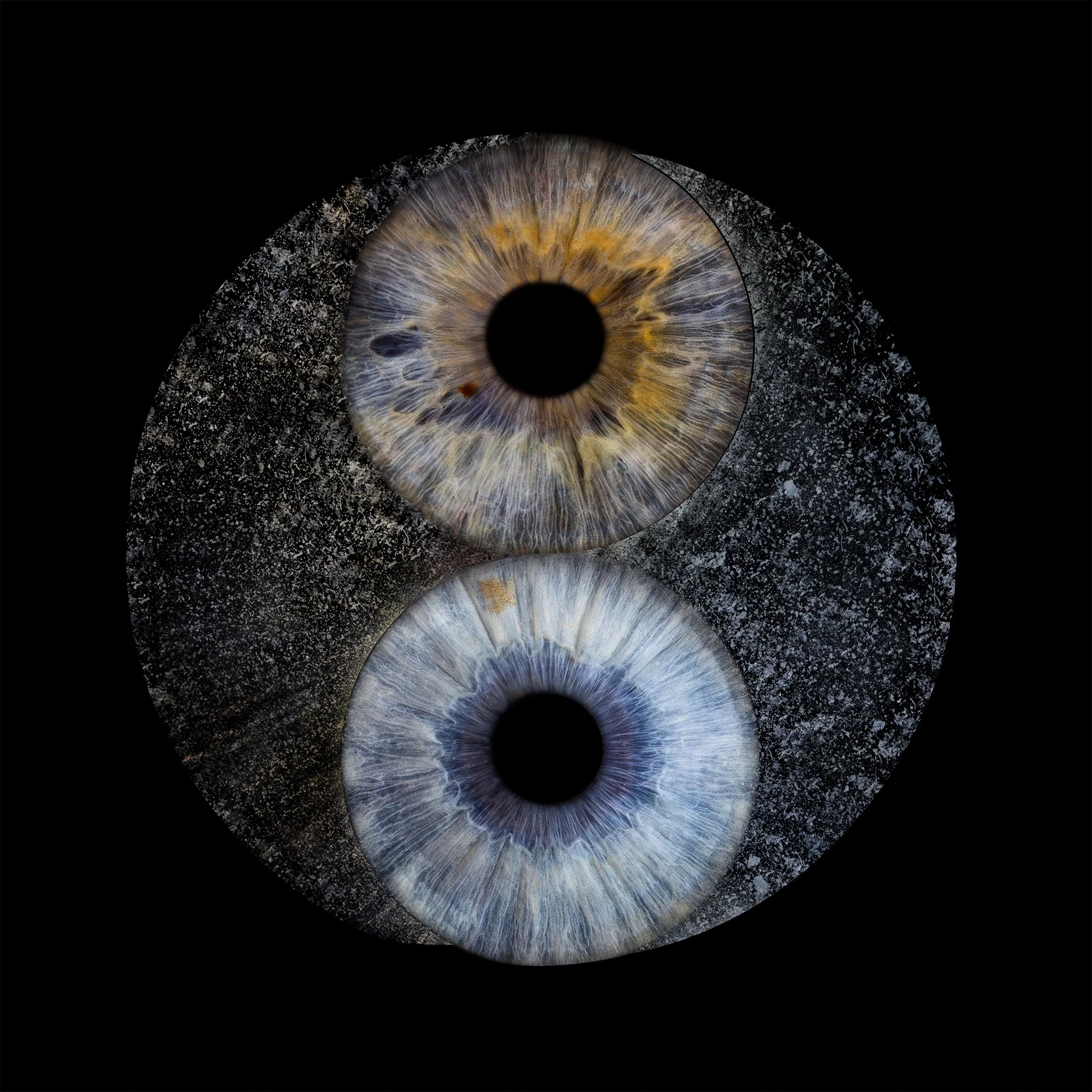 Me_Lee-YinYang 2048px JPG.jpg