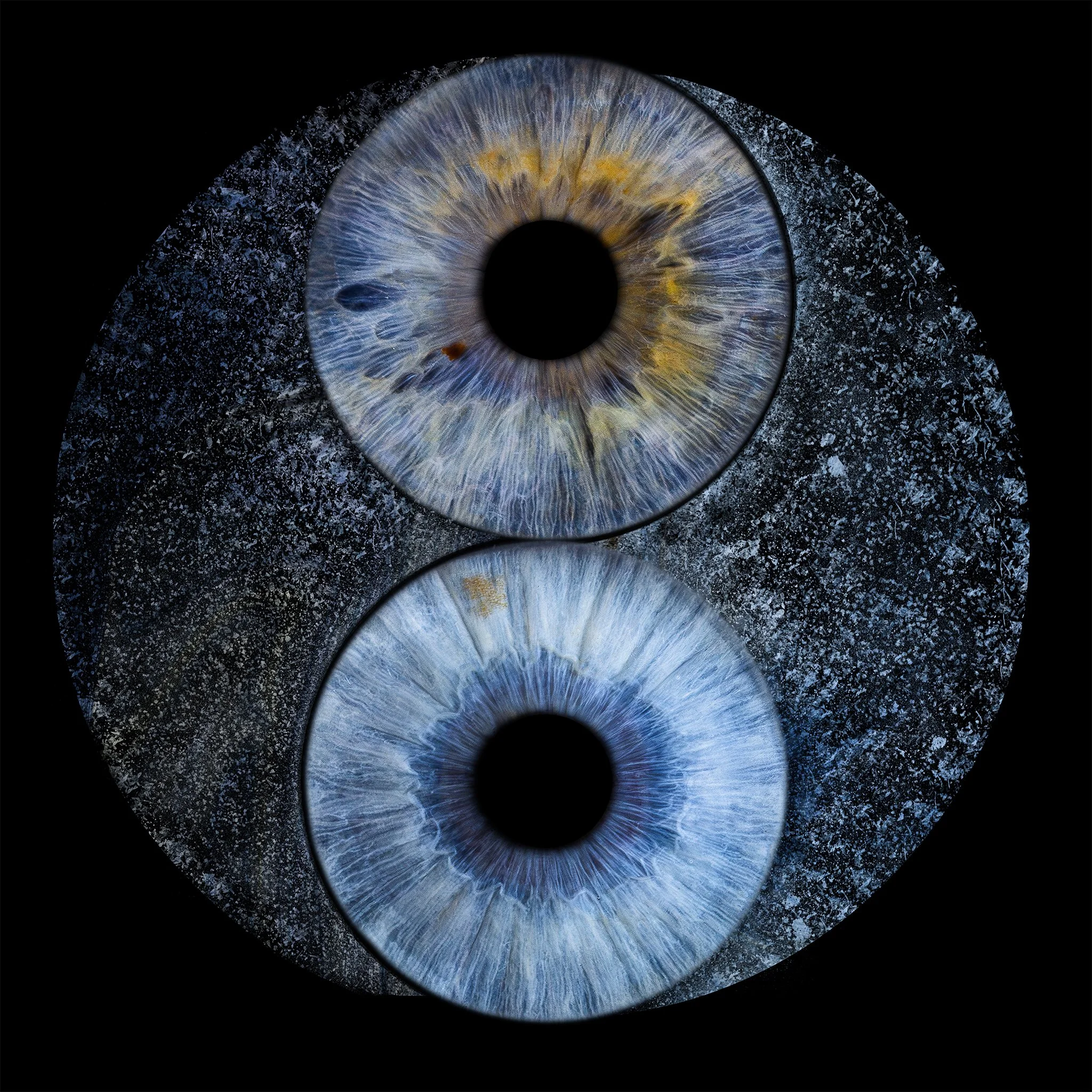 YinYang 2048px JPG.jpg