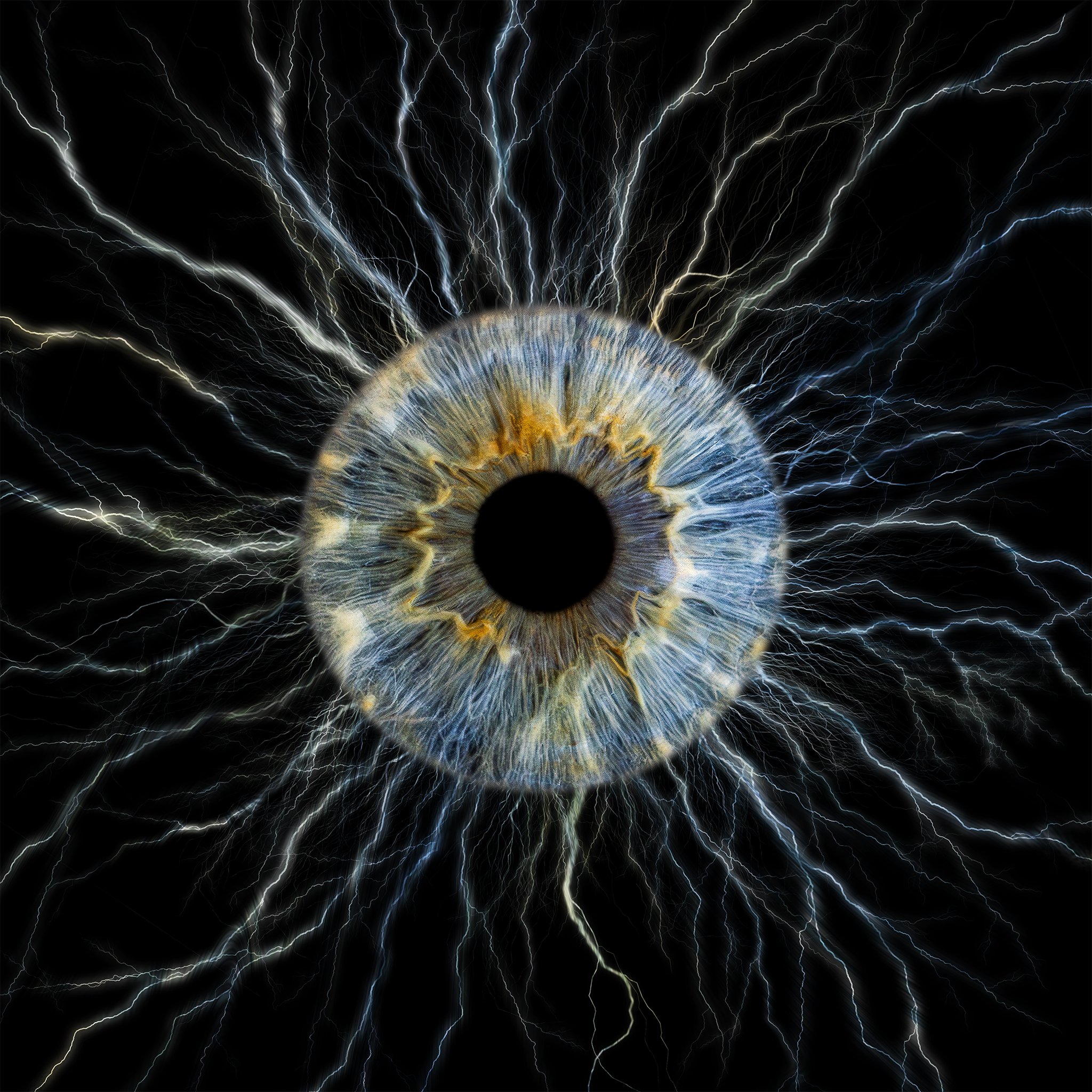 Marie Neuron 2048px.jpg