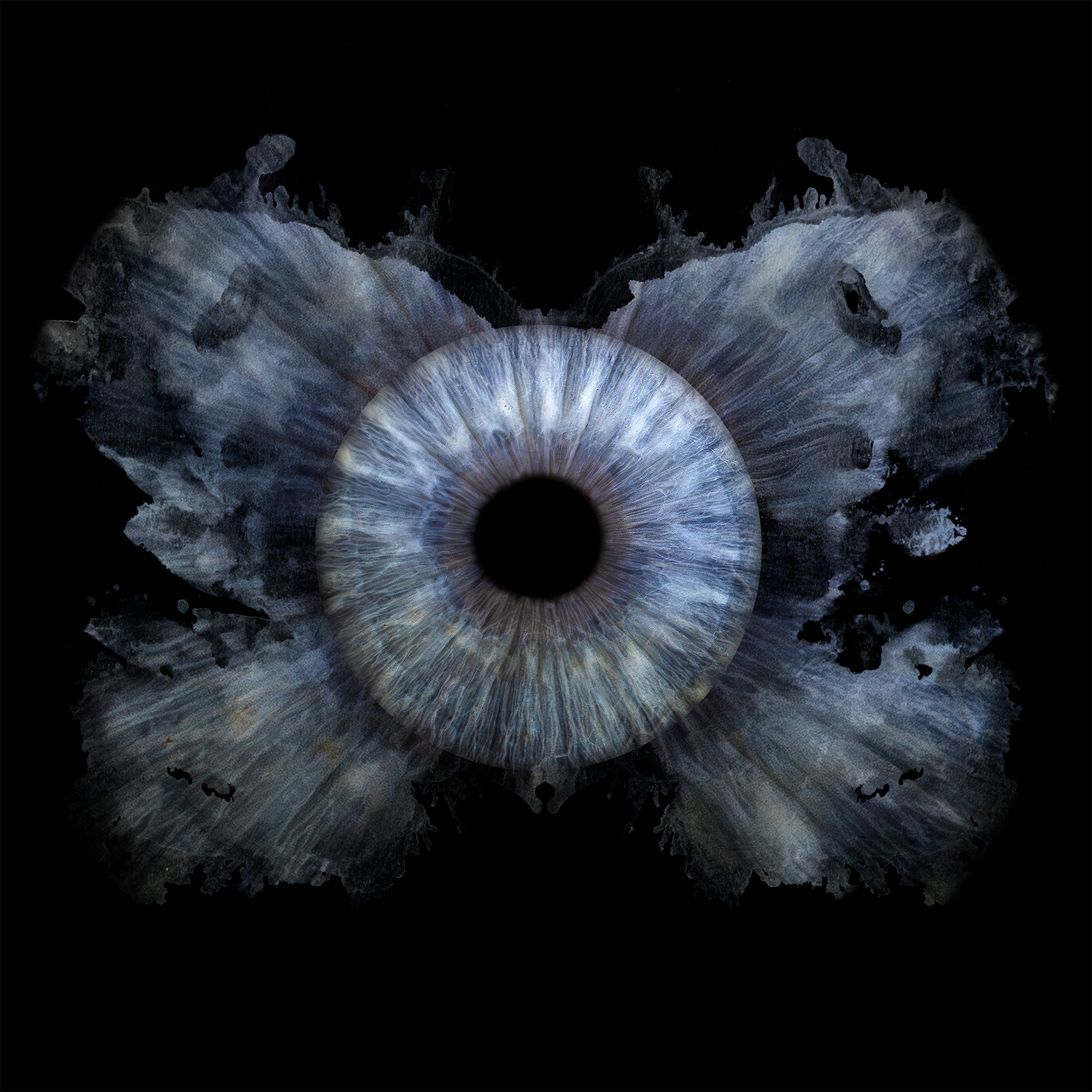 Individual Iris Design Upgrade