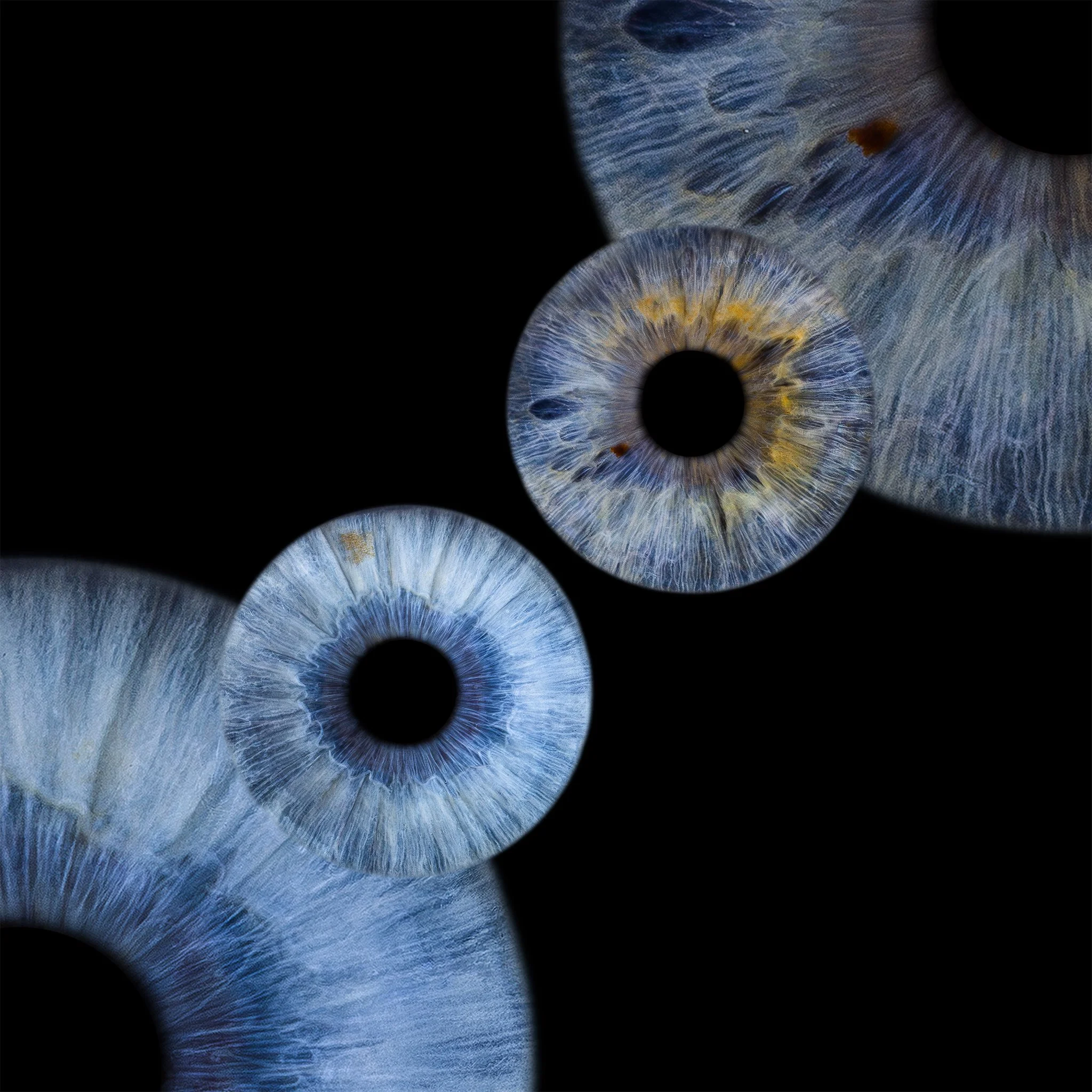 Double Retro 2048px JPG.jpg