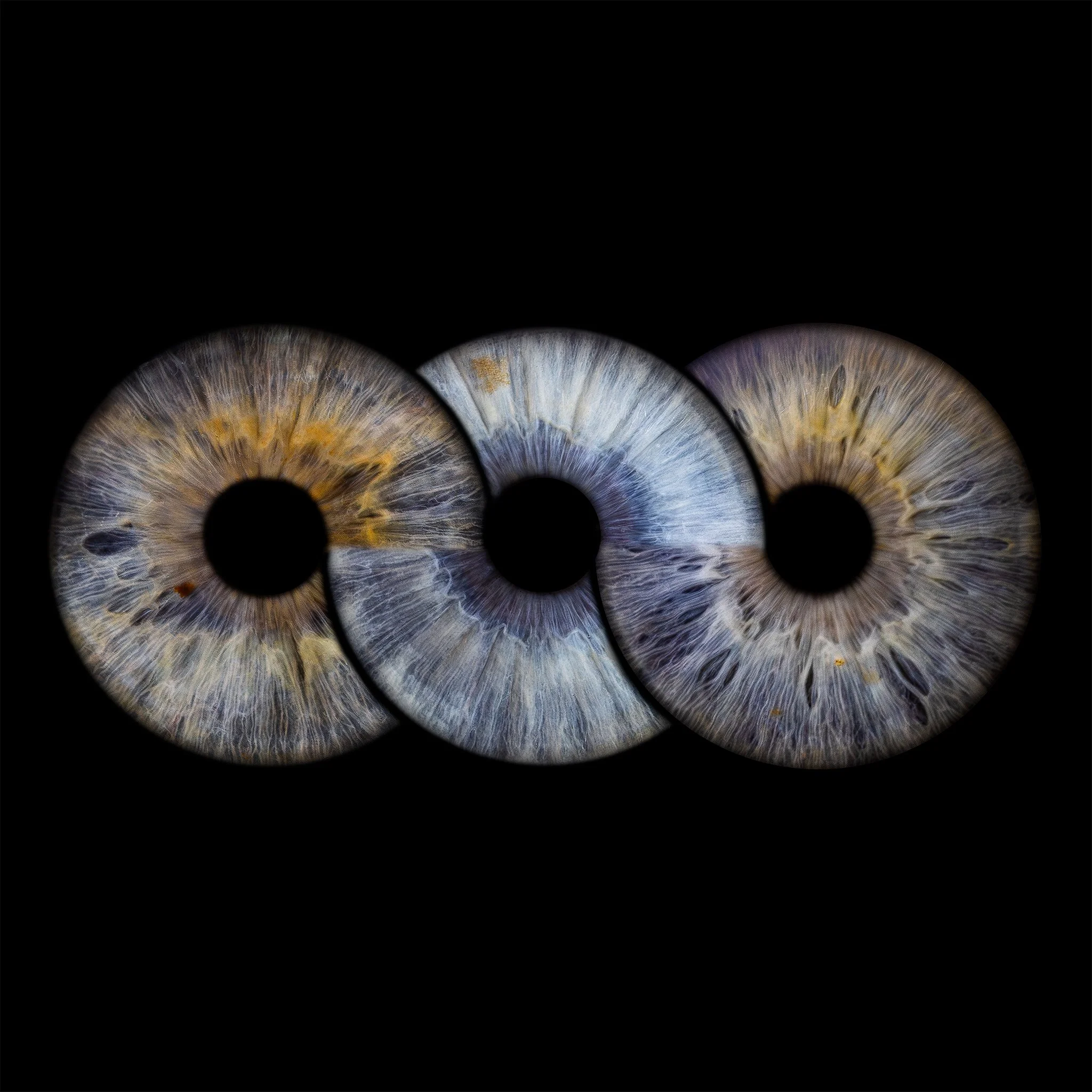 3-Infinity 2048px JPG.jpg