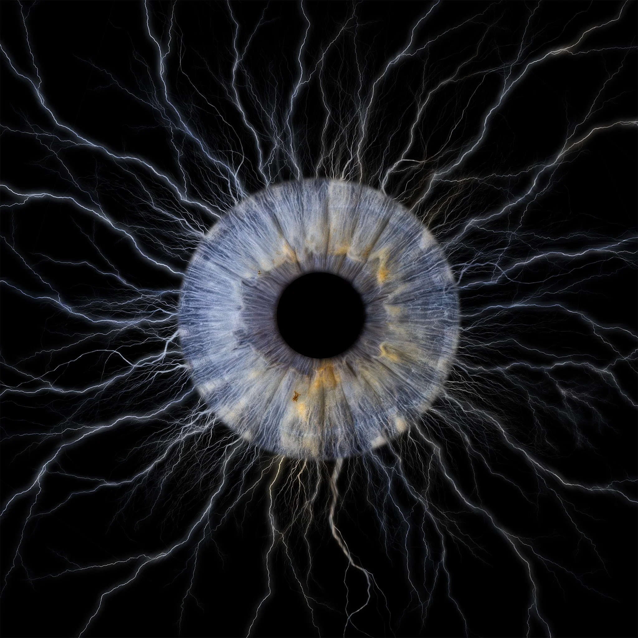 Sinlge Neuron 2048px JPG.jpg