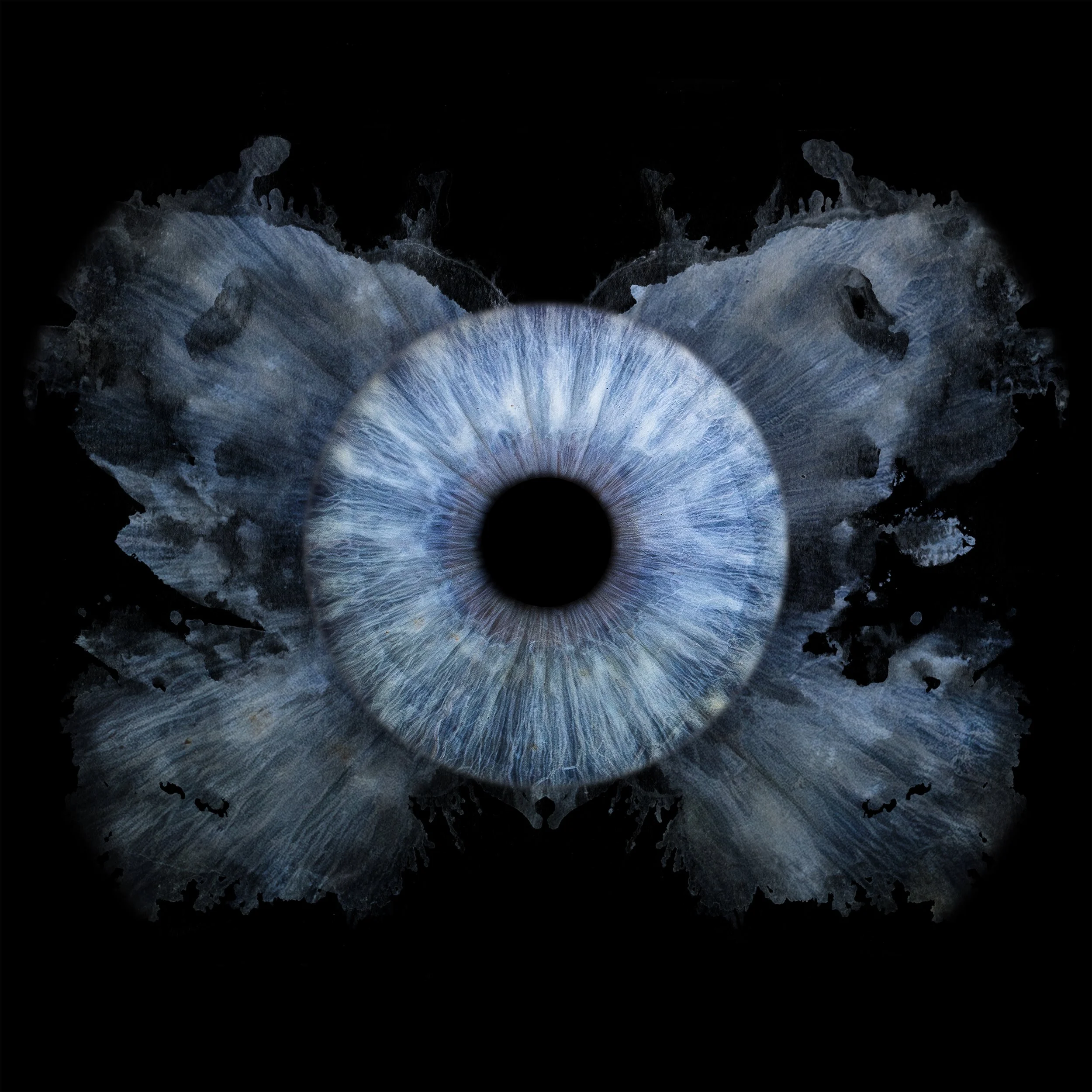 Dayna-Butterfly 3600px.jpg