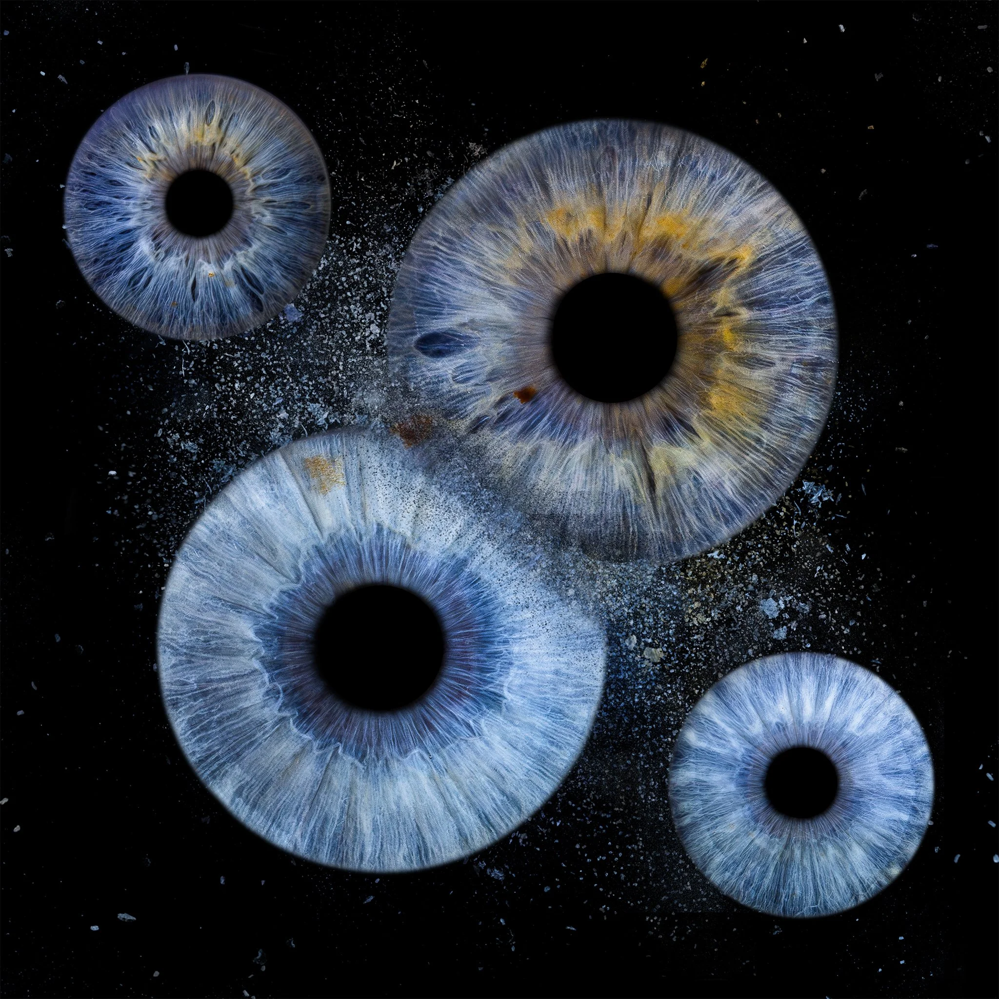 4_Multiply 2048px.jpg