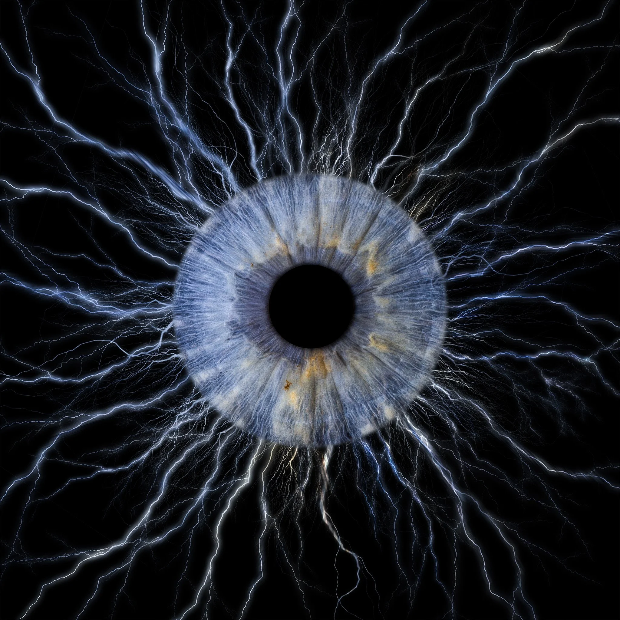 Sinlge Neuron 2048px JPG.jpg