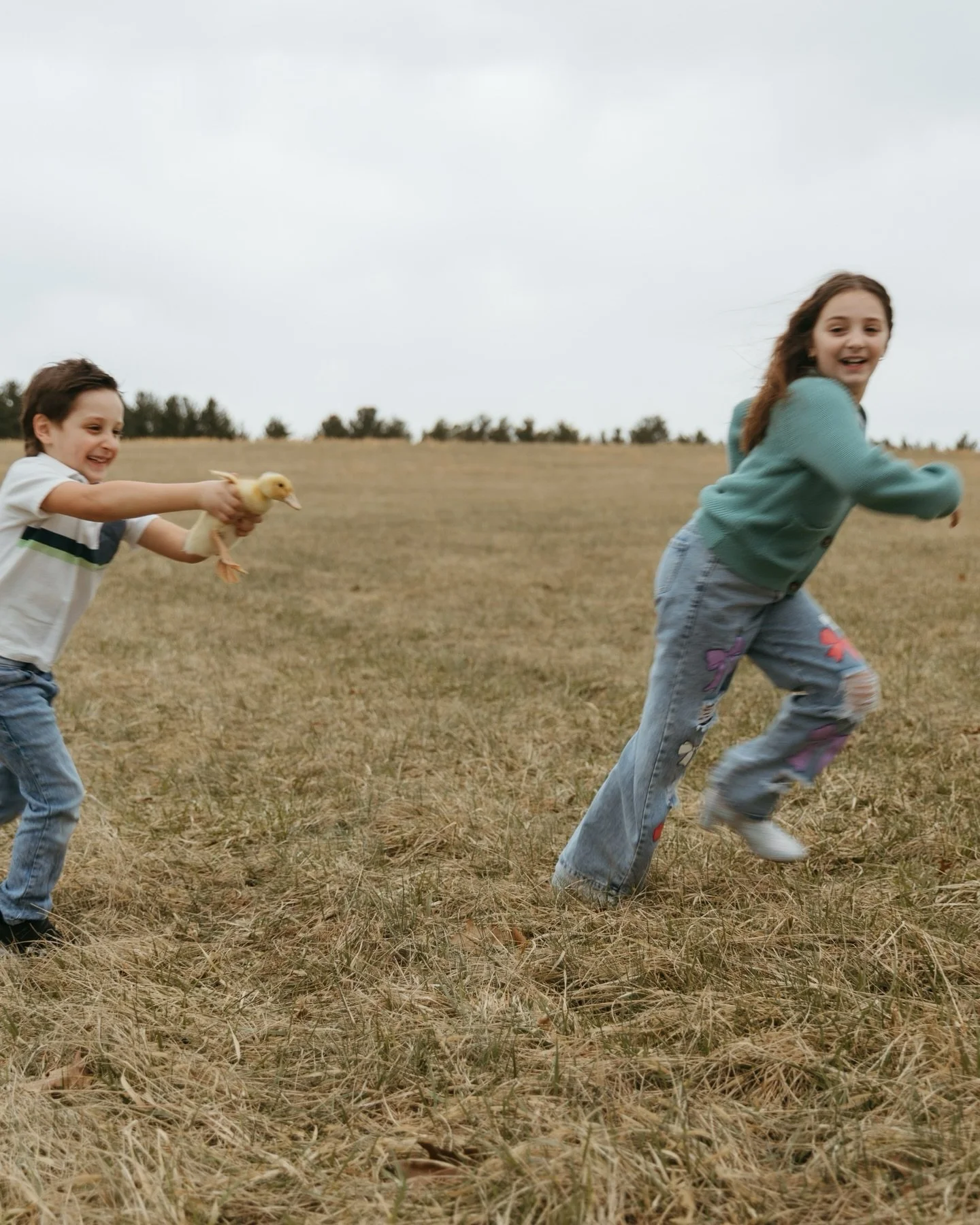 You need to find friends with ducks 🥹
This session was pure joy. 2 week old ducklings, a little rain, and the sweetest kind of chaos. Honestly, it doesn&rsquo;t take much&hellip; just good company and moments like these 🤍 

DMV family photographer,