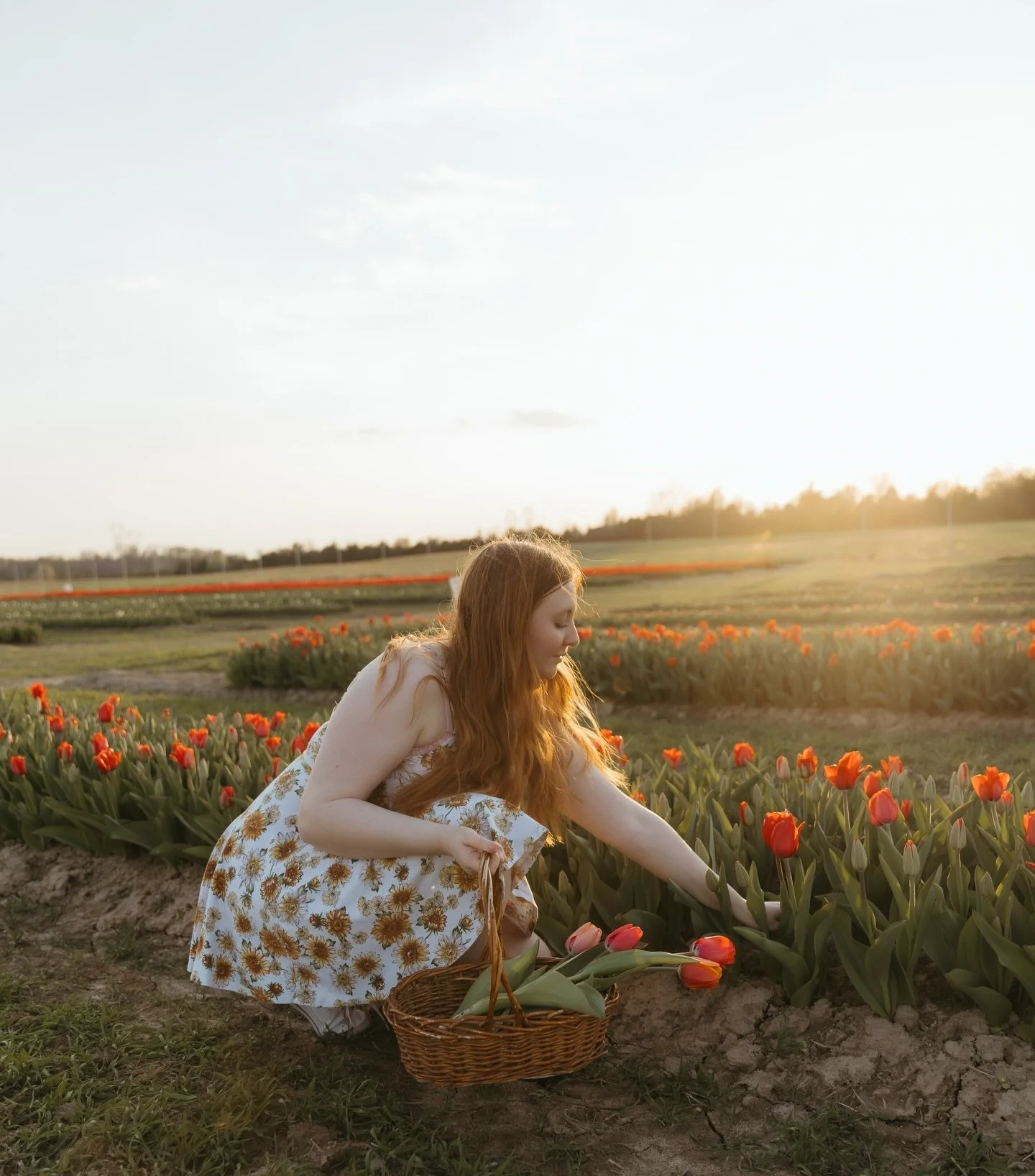 I wish tulip season could last forever! It was so much fun to do this session with George and Meropi ❤️ I love love love getting the opportunity to take photos of them together! This gets me so excited for all the flowers to start blooming in the are