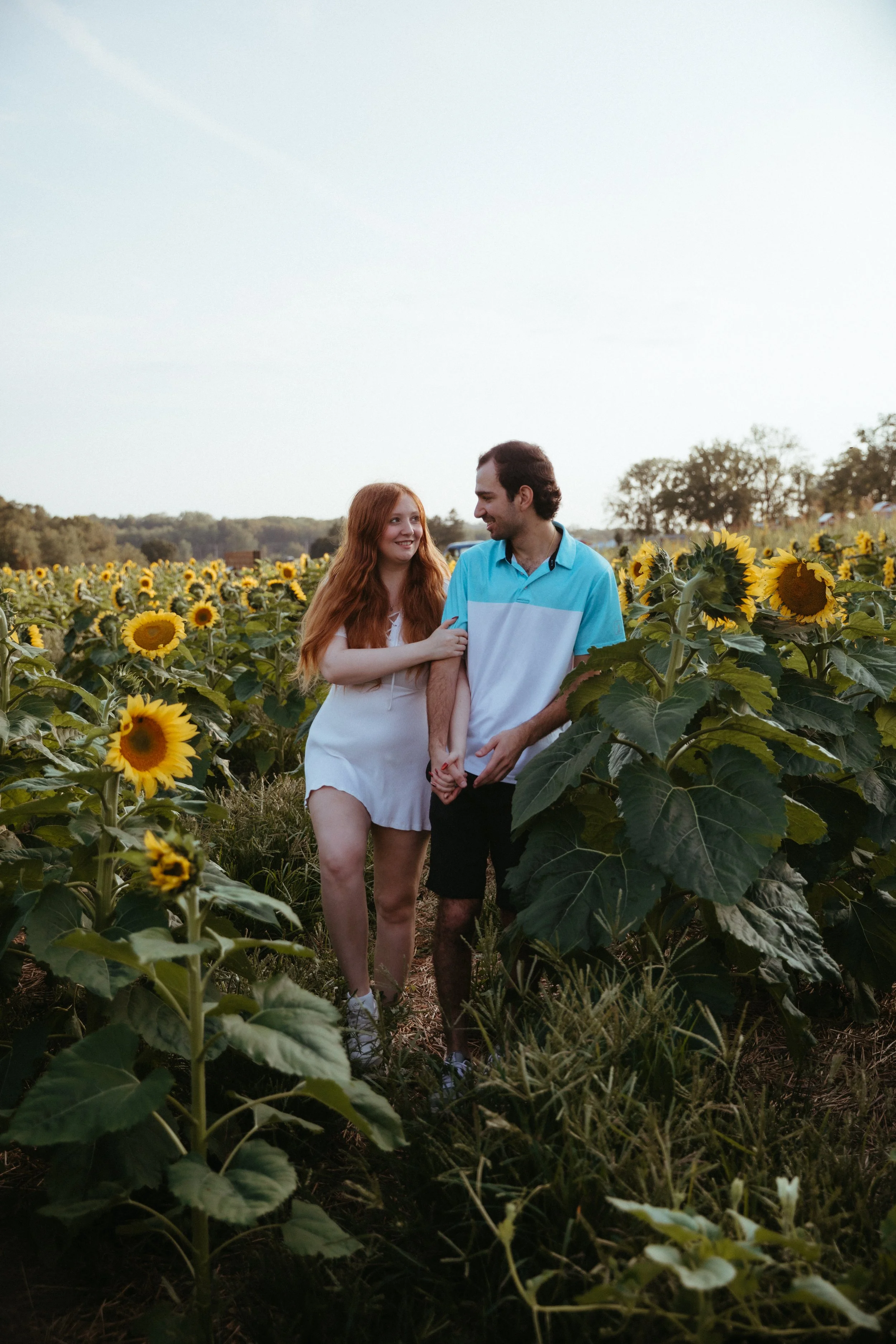 A young couple holding hands and smiling in a sunflower field during late afternoon or early evening.