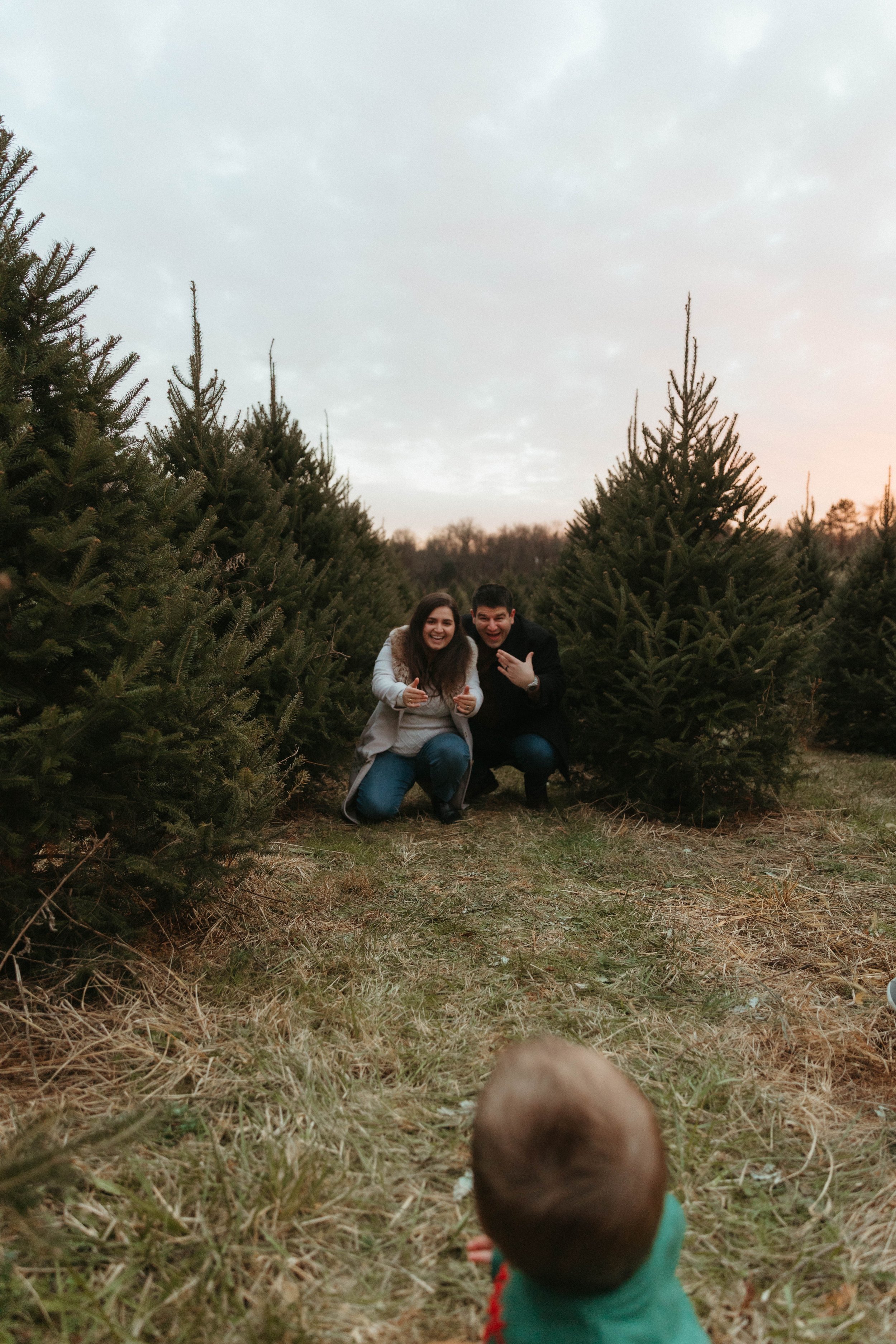christmas tree farm family photo maryland