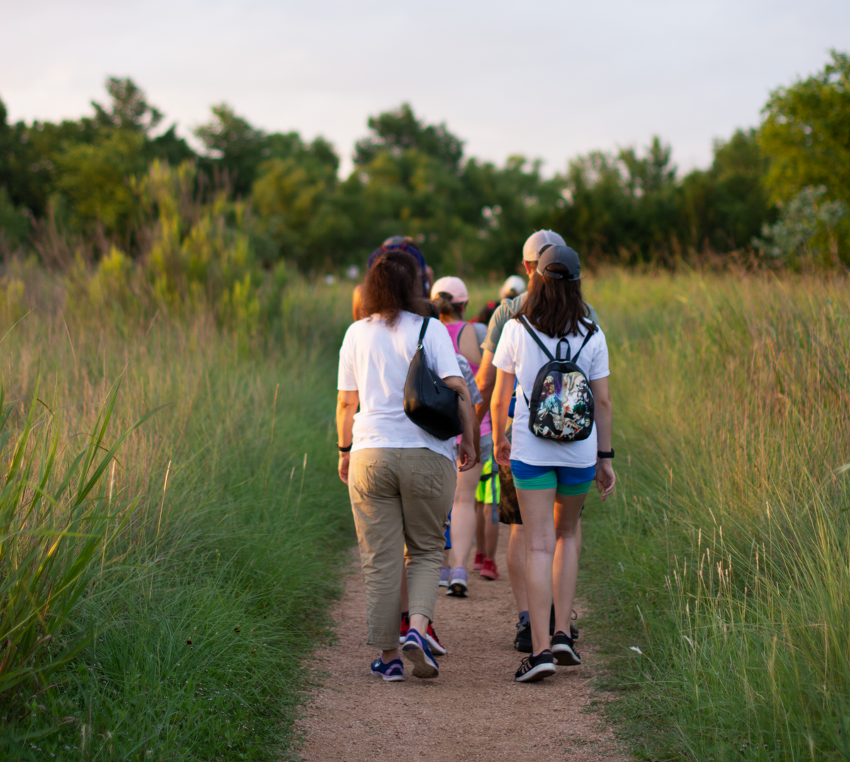 Group of people walking on a dirt trail through tall grass with trees in the background.