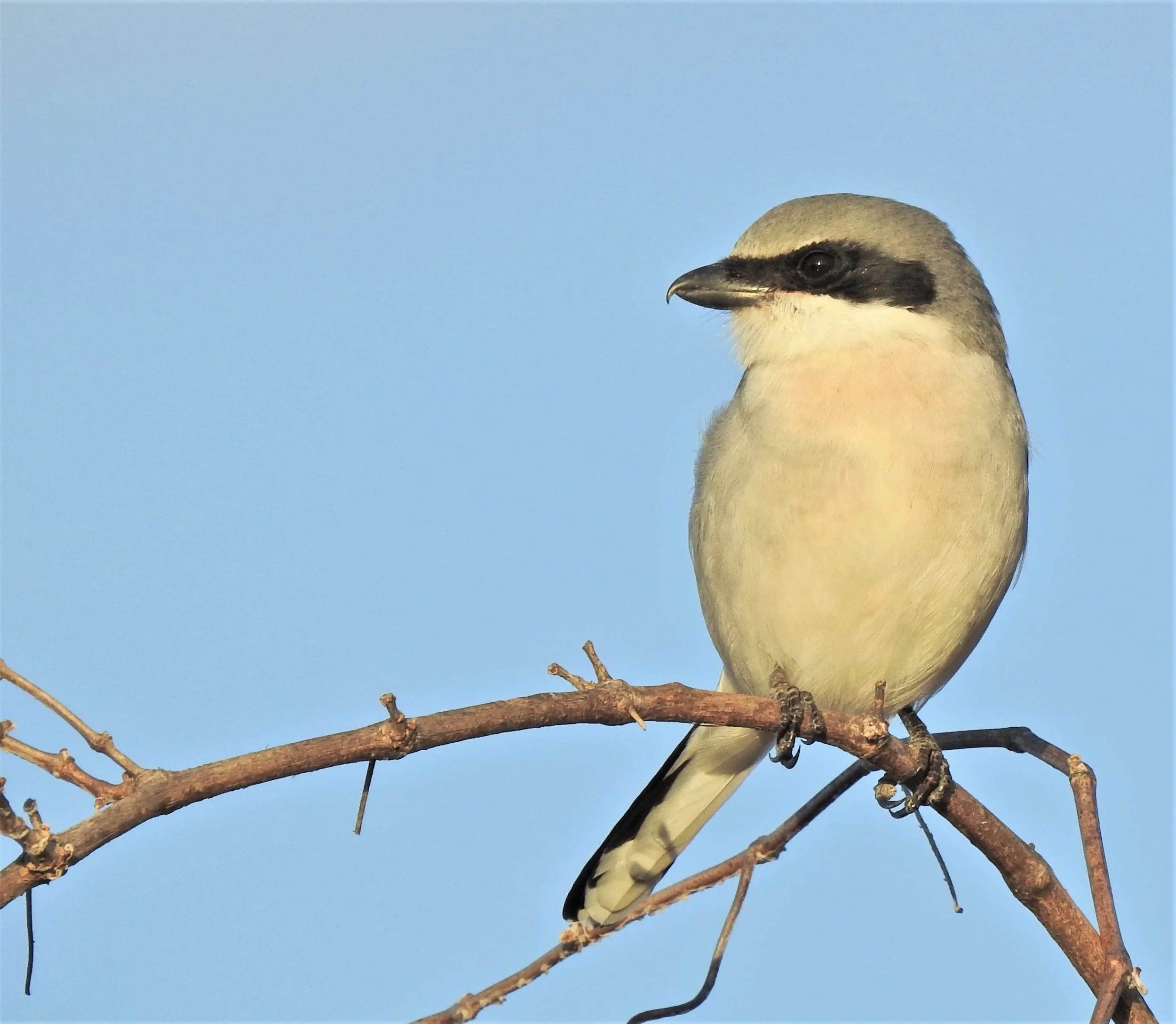 DSCN2986-scaled.jpg