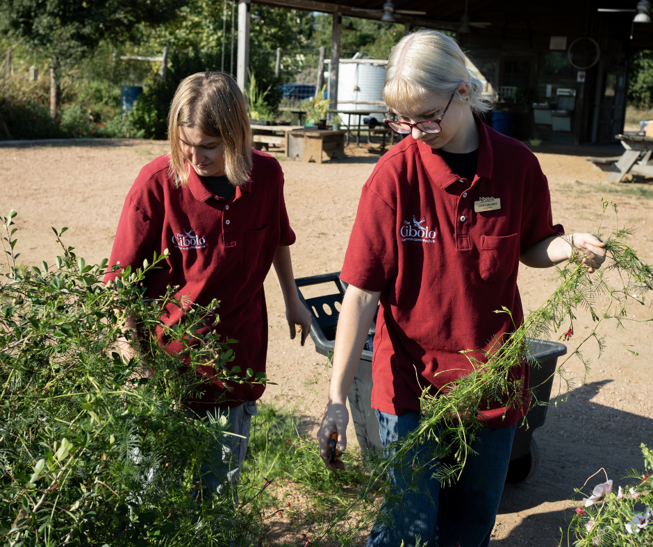 Teen Ambassador Program