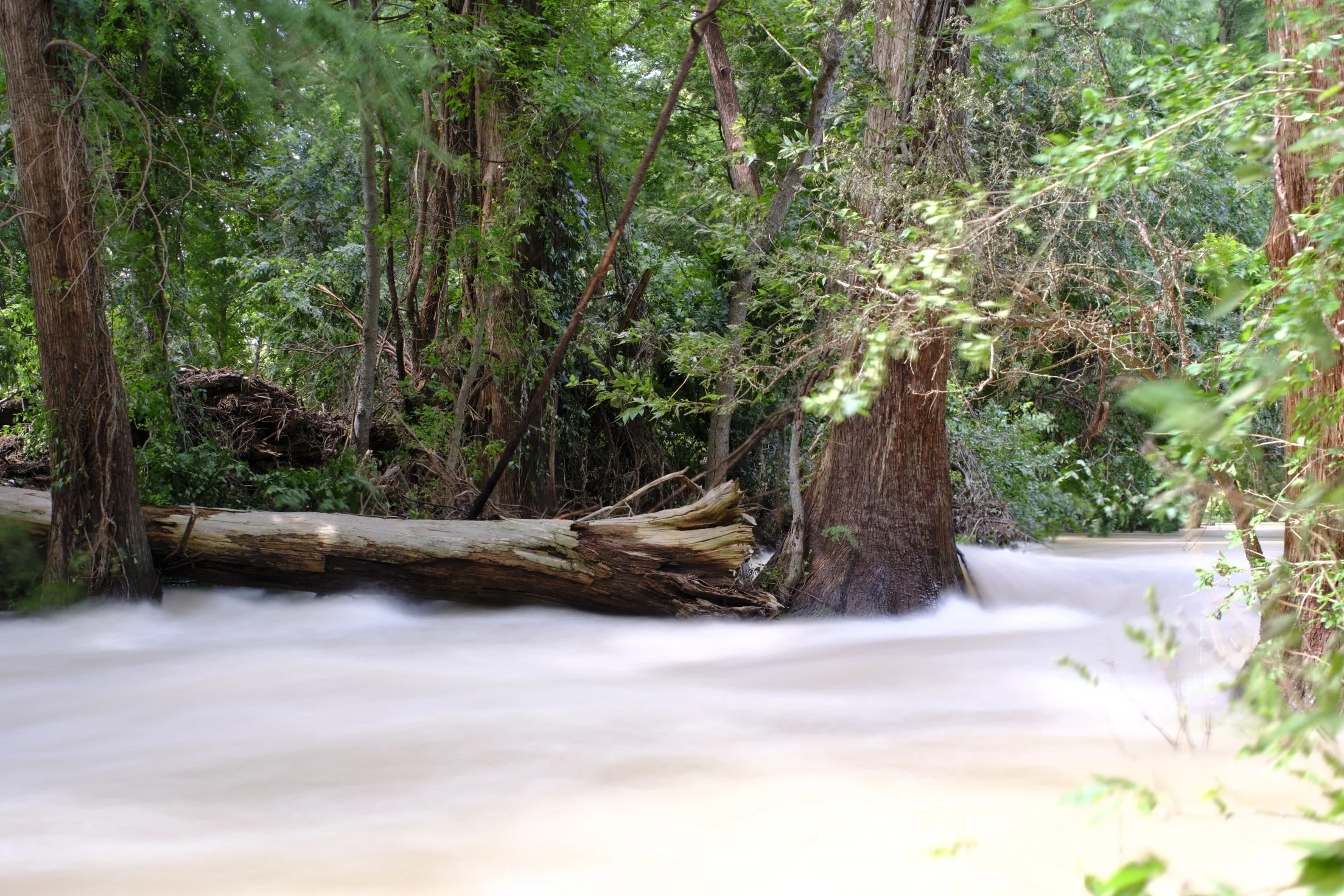 Restore the Land