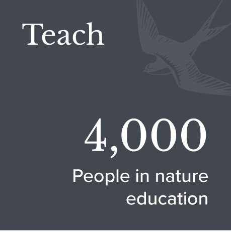 A graphic with dark background, white text that says 'Teach 4,000 People in nature education', with a bird illustration in the top right corner.