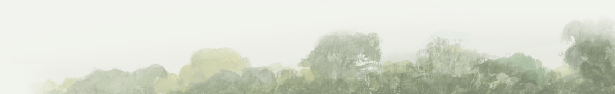 Faint silhouette of trees and foliage in a misty or foggy landscape.