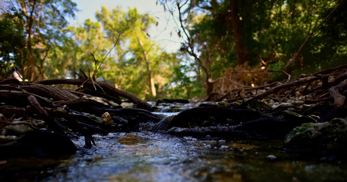 Small Waterfall on Cibolo Creek