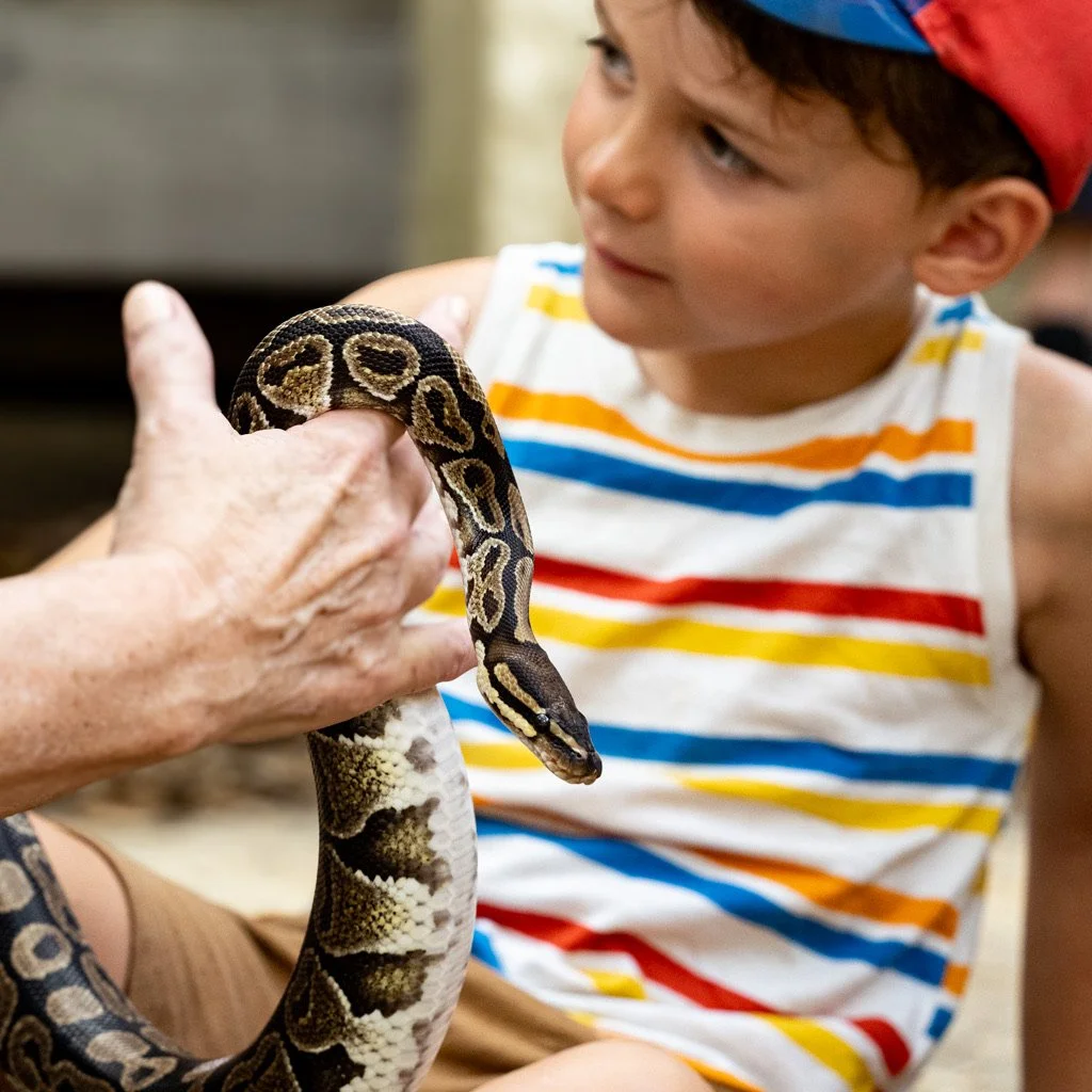 A young boy in a colorful striped tank top and a red cap looks at a snake held by an adult's hand.