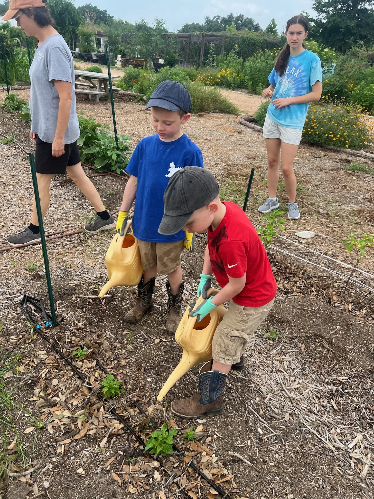 Children watering small plants in a garden, with a girl in a blue shirt and boys using watering cans, surrounded by plants and garden tools on a cloudy day.