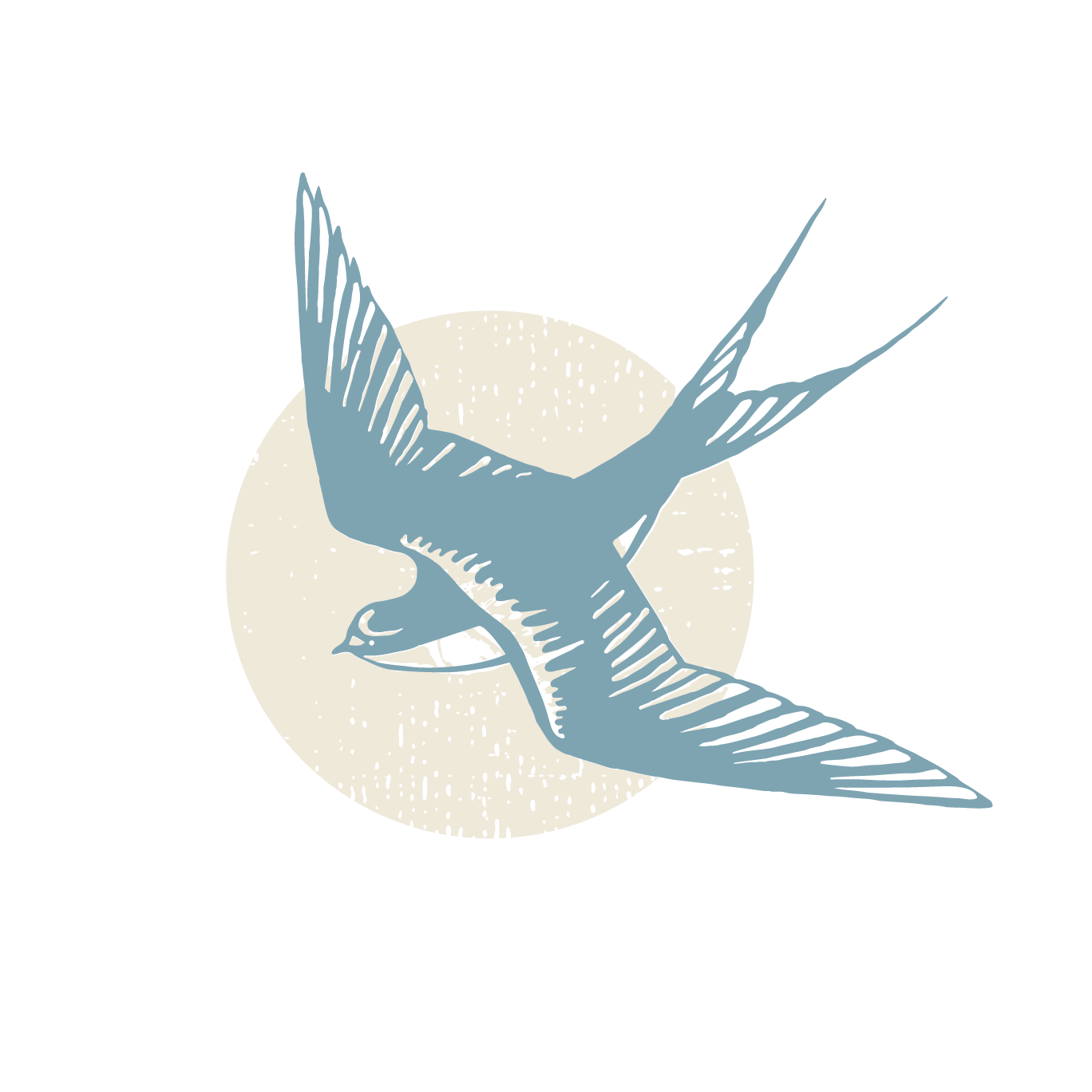 Illustration of a blue bird flying in front of a full moon with a dark background.