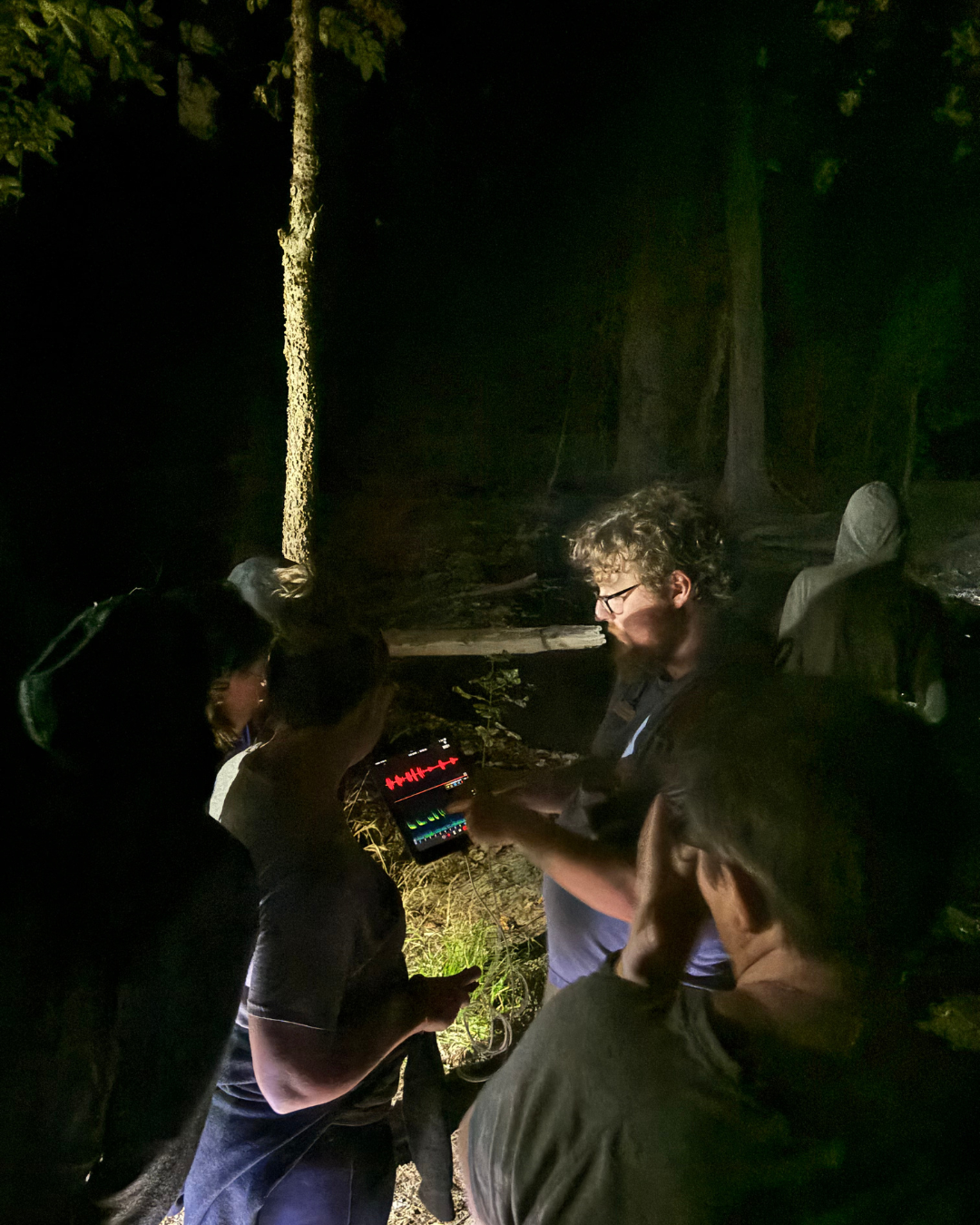 Group of people gathered outdoors at night, looking at a bat echo meter with a colorful graph on the screen, surrounded by trees.