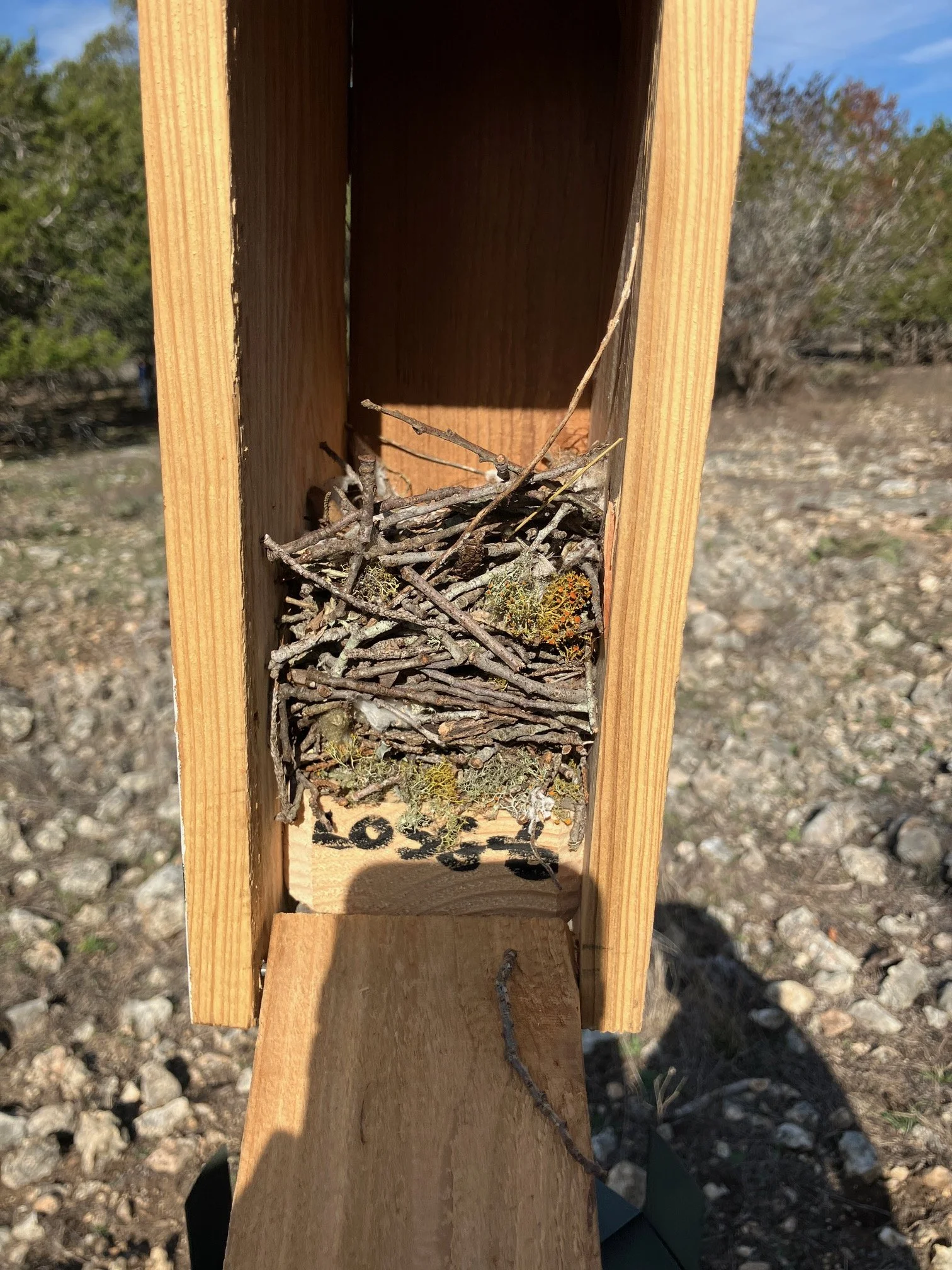 Wooden birdhouse with sticks and moss inside, outdoors with rocky ground and trees in background.