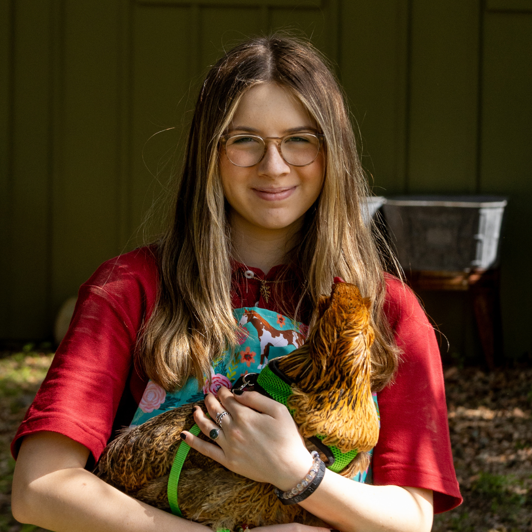 Teen girl with glasses holding a chicken outdoors on a sunny day.