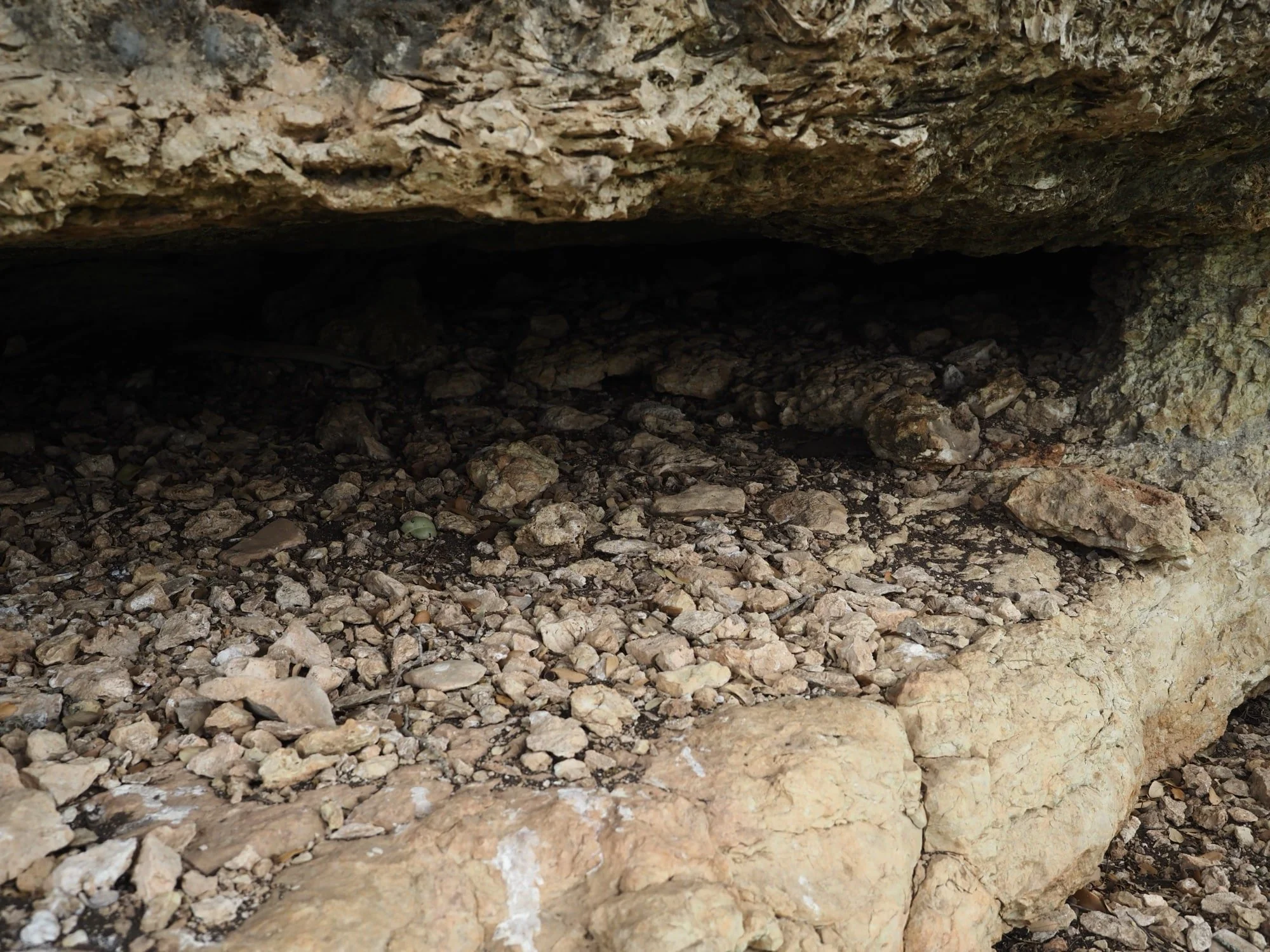 Underneath a rocky overhang, there is a mixture of small and medium-sized rocks and gravel on the ground.