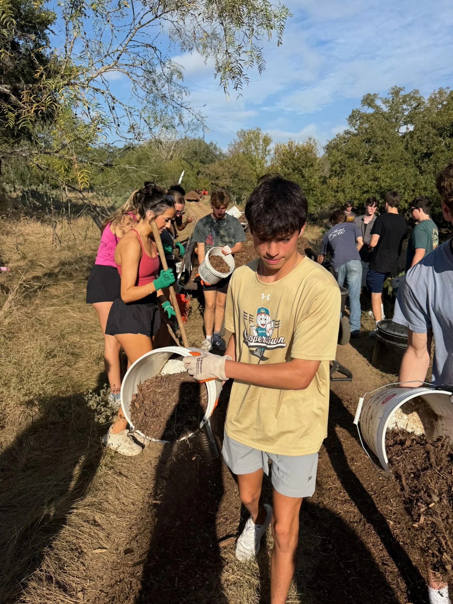 Group of young people planting trees in a natural outdoor setting on a sunny day.