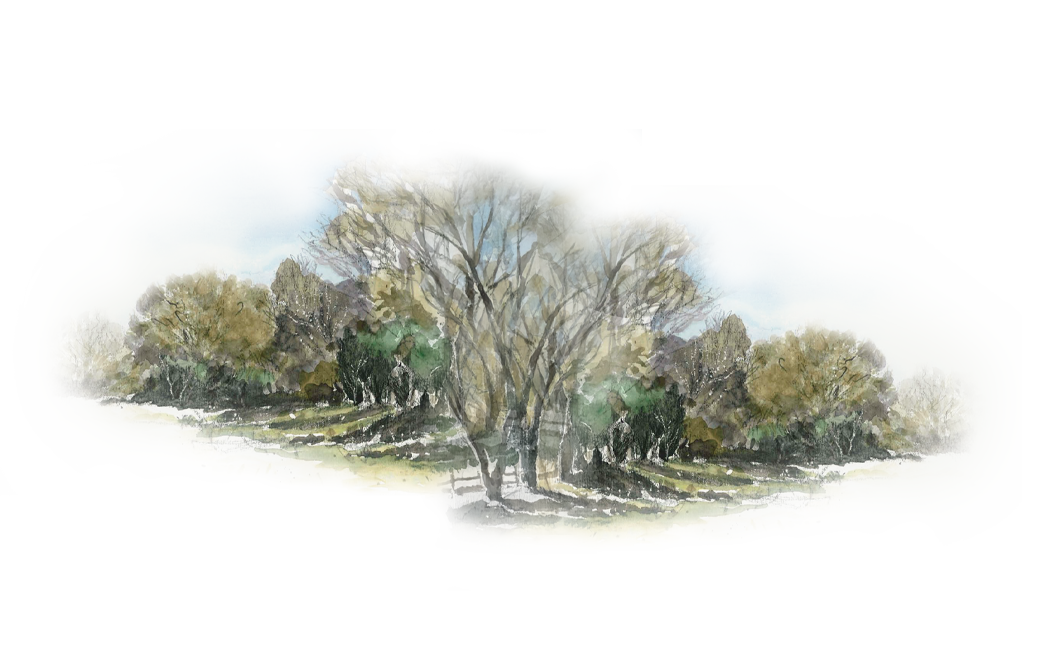 Watercolor painting of a landscape with trees, some with bare branches, and a cloudy sky.