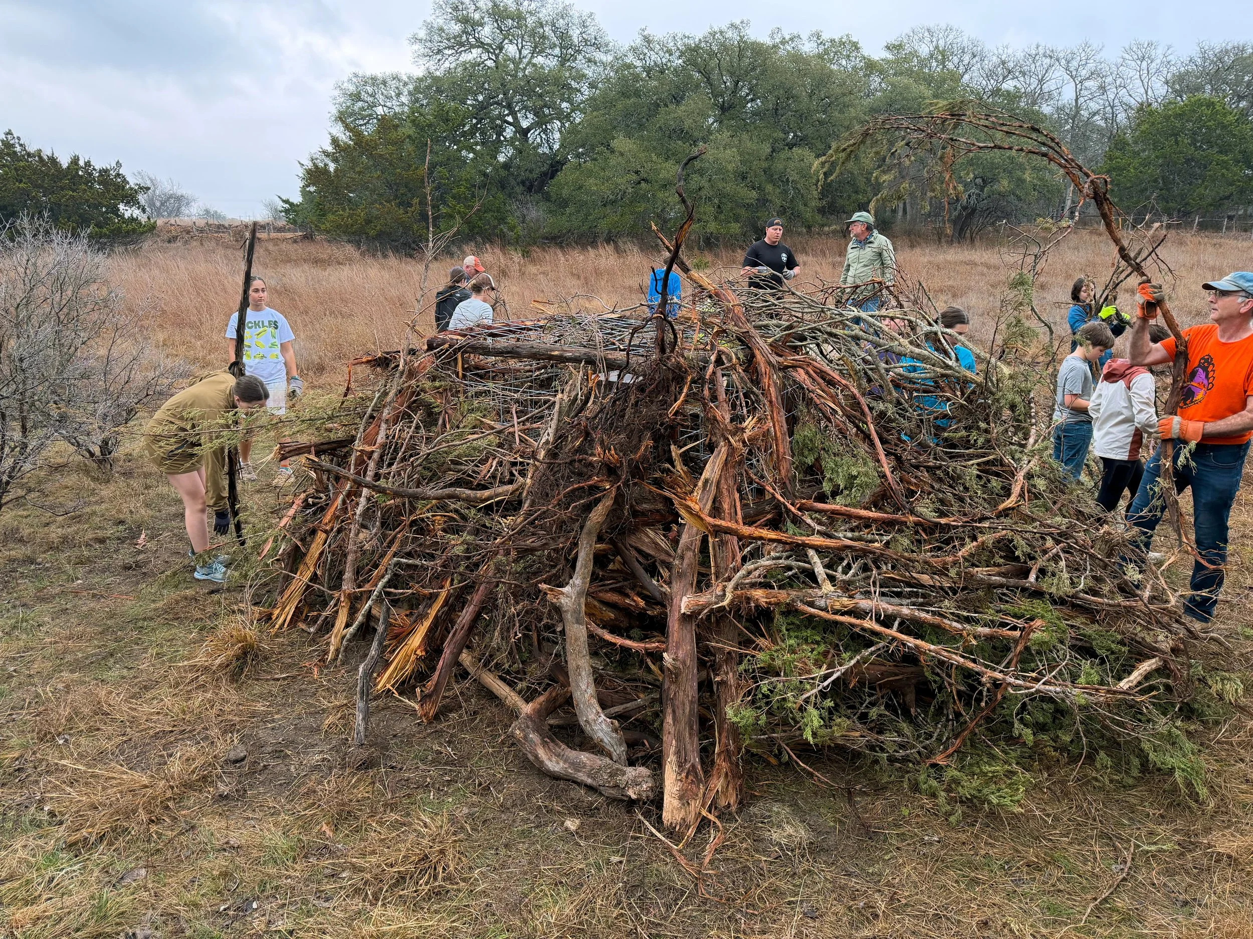 Group of people cleaning up a large pile of fallen branches and debris in an open field with trees in the background.