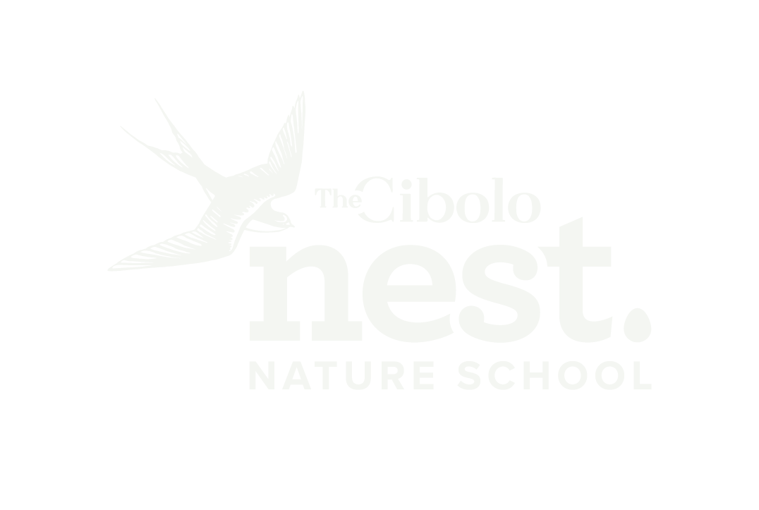 Logo for The Cibolo Nest Nature School with a white bird illustration on a black background and white text.