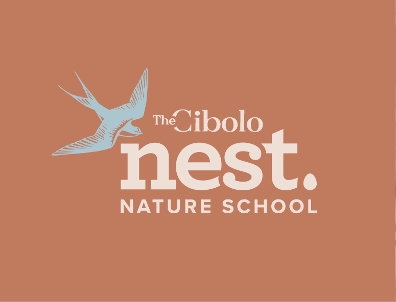 Logo for The Cibolo Nest Nature School with a light blue flying bird on a brown background.