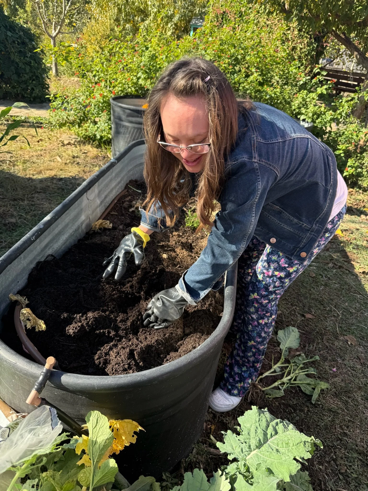 A young Down syndrome woman gardening in a garden, tending to a raised bed filled with dark soil, surrounded by green plants and bushes.