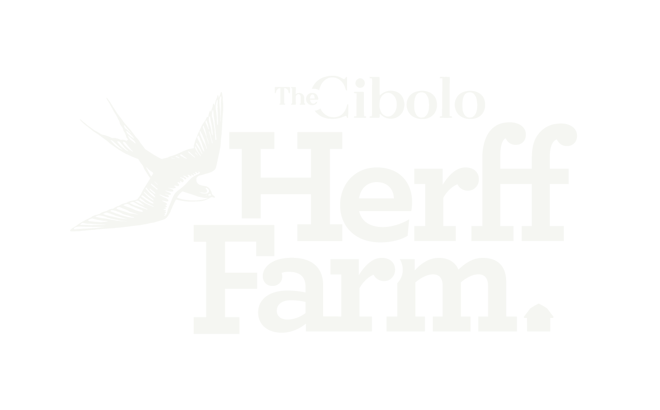 Text overlay reading 'The Cibolo Herff Farm' with a light-colored bird illustration on the left side.