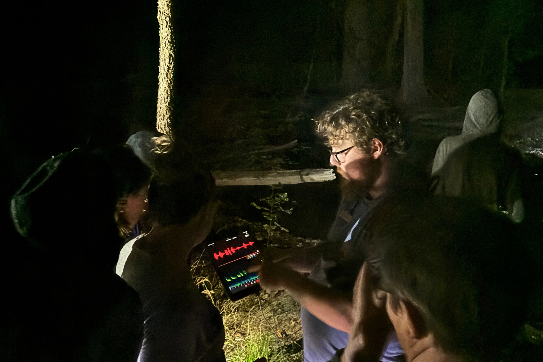 A group of people gathered in a dark outdoor setting at night, watching a person hold a tablet devices displaying a bat echo meter with sound waveforms.