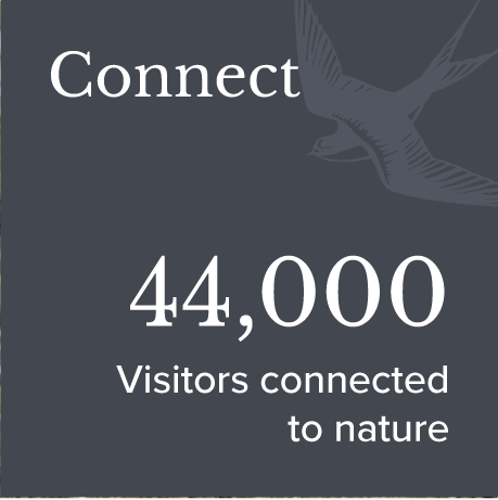 A dark gray background with the word 'Connect' in white at the top, a flying bird illustration in the upper right corner, and centered text showing '44,000 Visitors connected to nature'.
