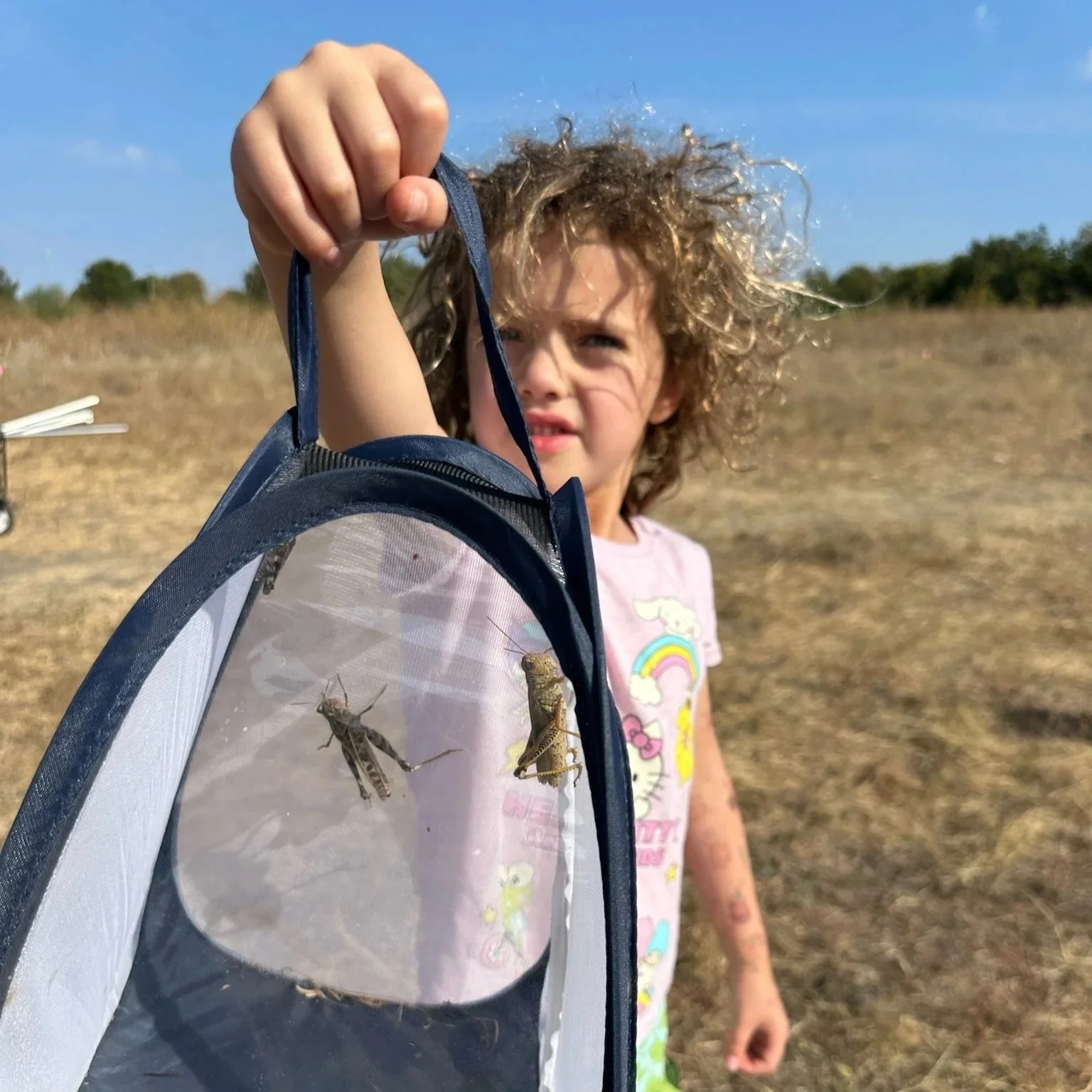 Child holding a butterfly net with a grasshopper caught inside, outdoors on a sunny day.