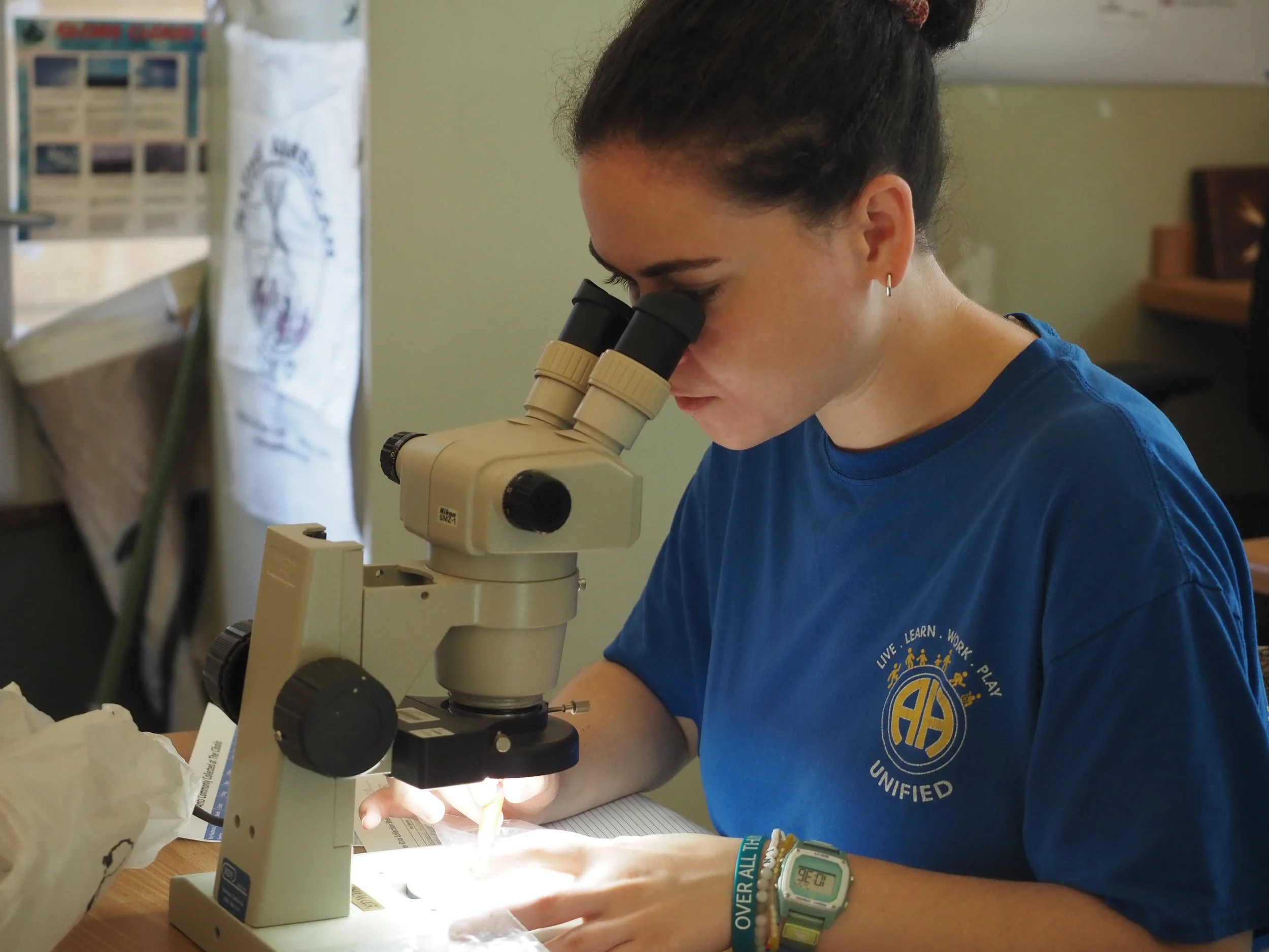 A young woman looking through a microscope in a laboratory or school setting.