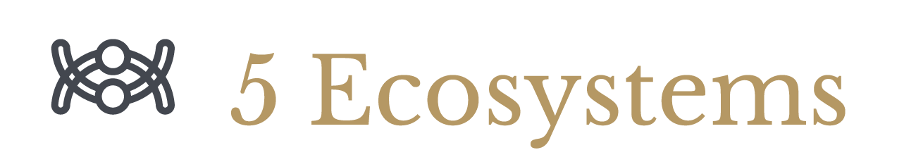 Graphic with icon of interconnected circles and lines, text reads '5 Ecosystems'
