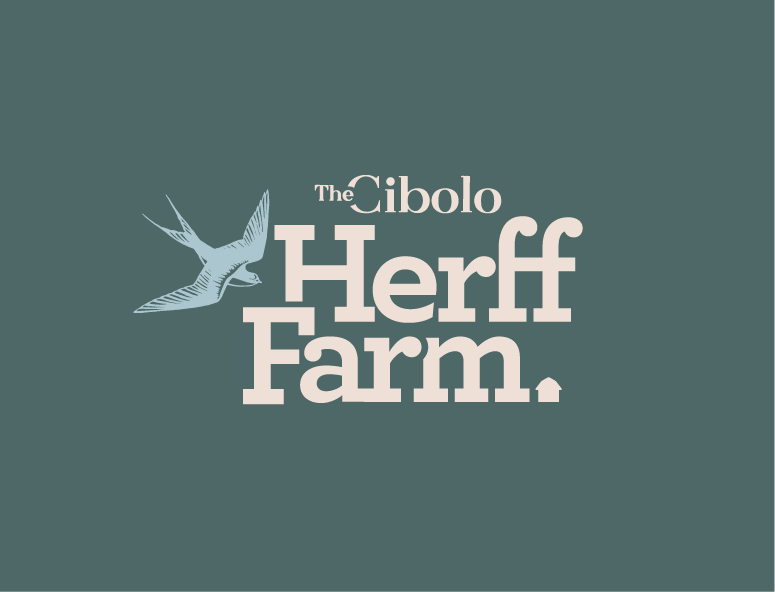 Logo for The Cibolo Herff Farm with a flying bird illustration on a teal background.