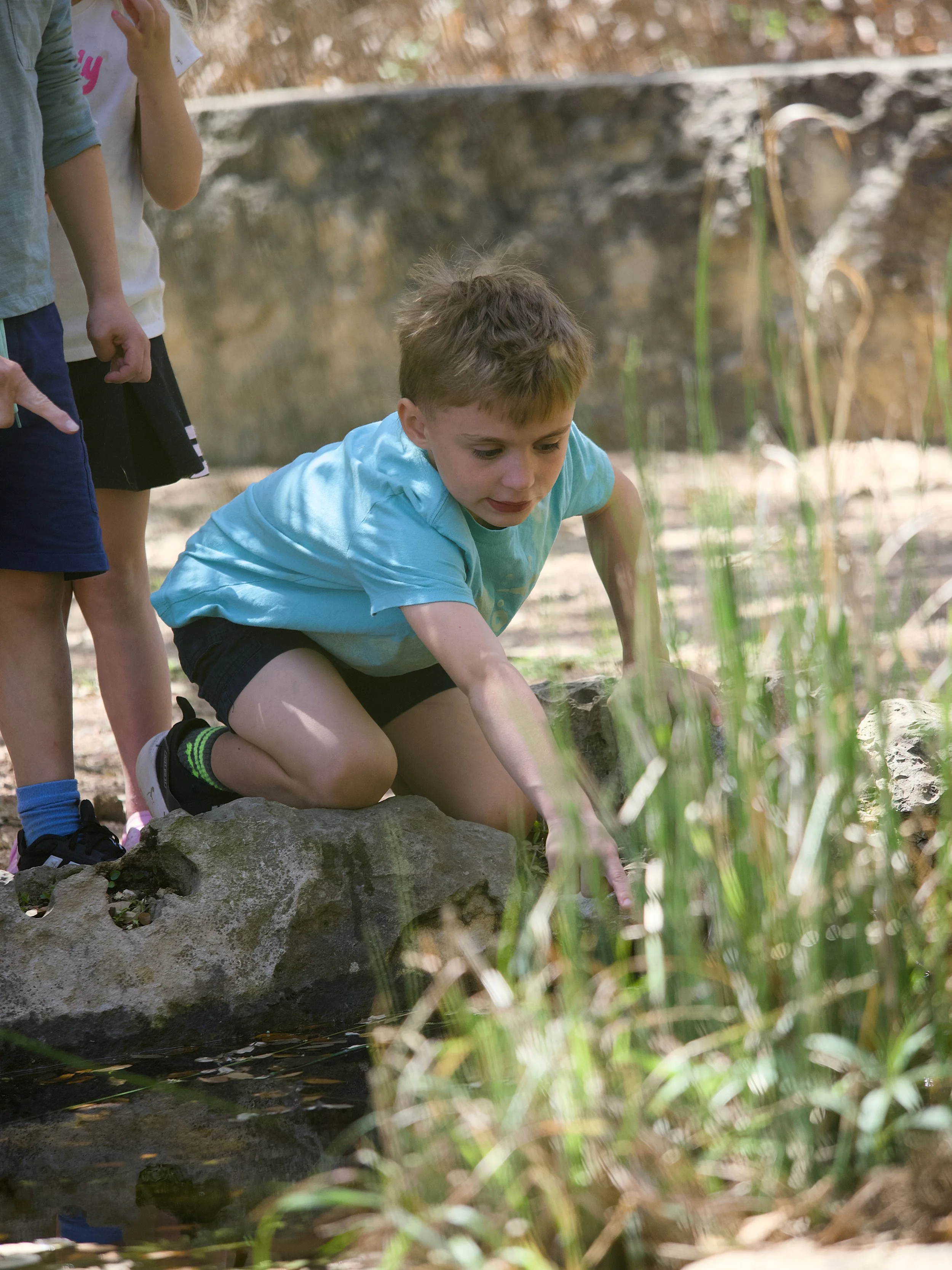 A young boy with light brown hair, wearing a blue t-shirt and black shorts, is kneeling on a large rock near a small, reaching into the water. Two other children are partially visible, standing nearby. The scene is outdoors with tall grass and a ston