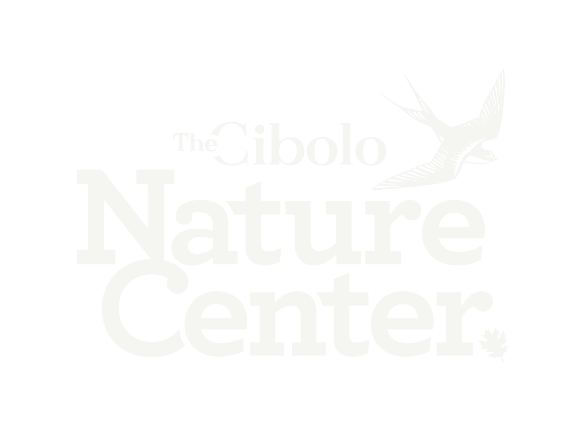 The logo of the Cibolo Nature Center, featuring a flying bird and a leaf.