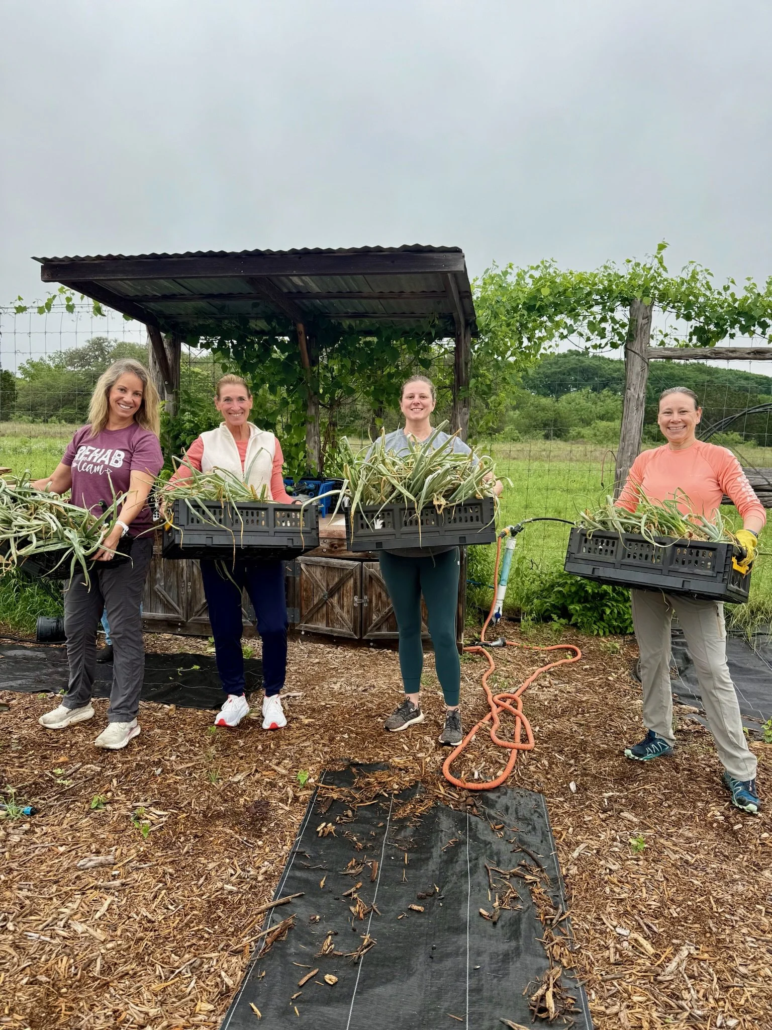 Four women standing outdoors in a garden or farm, smiling and holding black trays filled with plants. They are dressed casually and standing on a mulched ground with a black tarp. Behind them, there is a wooden structure covered with green vines and 