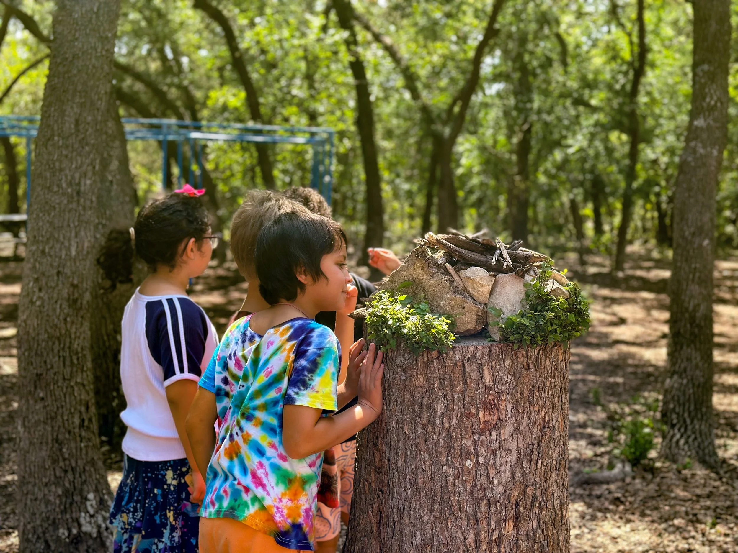 A group of children with colorful clothing and one with glasses are gathered around a tree stump in an oak motte, examining greenery growing on top of the stump.