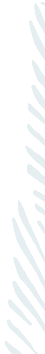 Close-up of feathers in a light blue and white striped pattern.