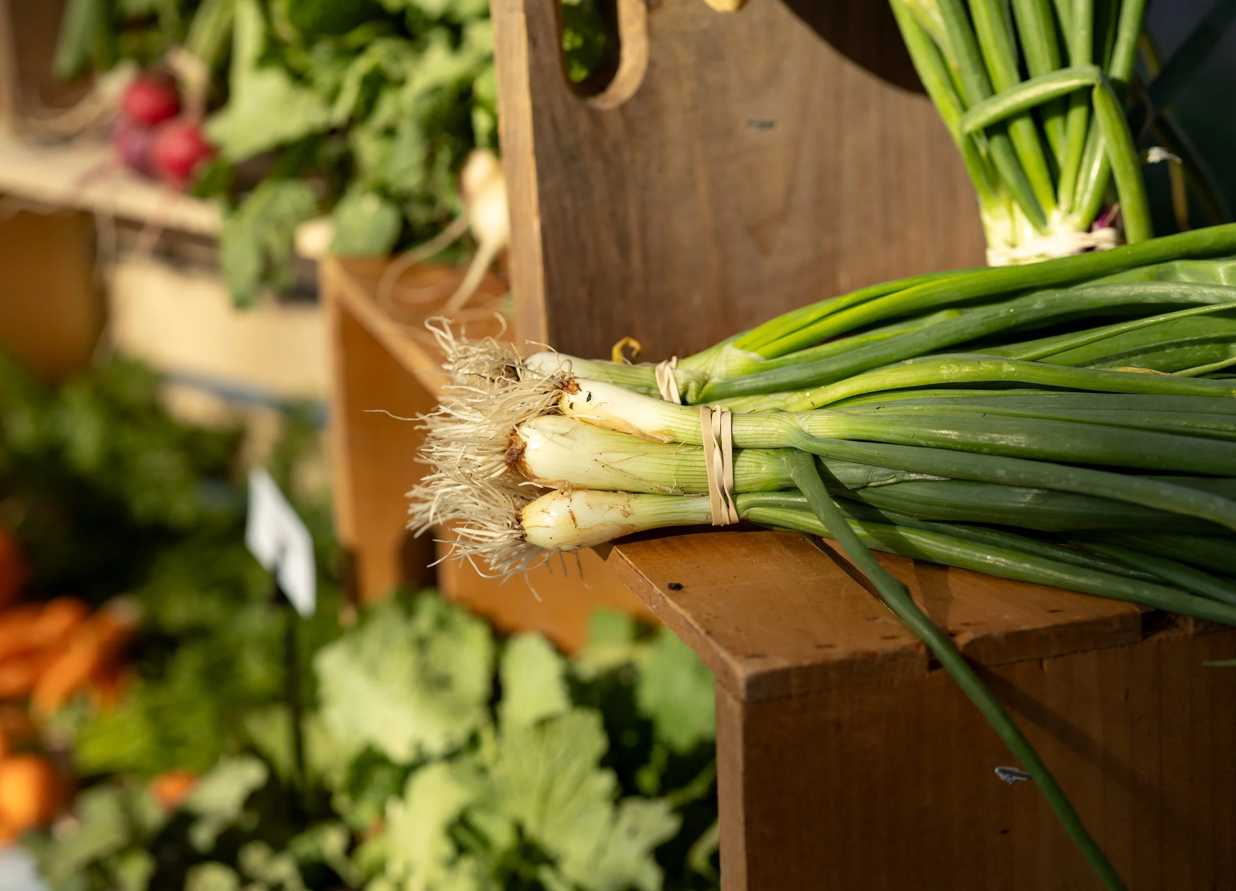 Fresh green onions with white roots tied together, displayed on a wooden surface at a market.
