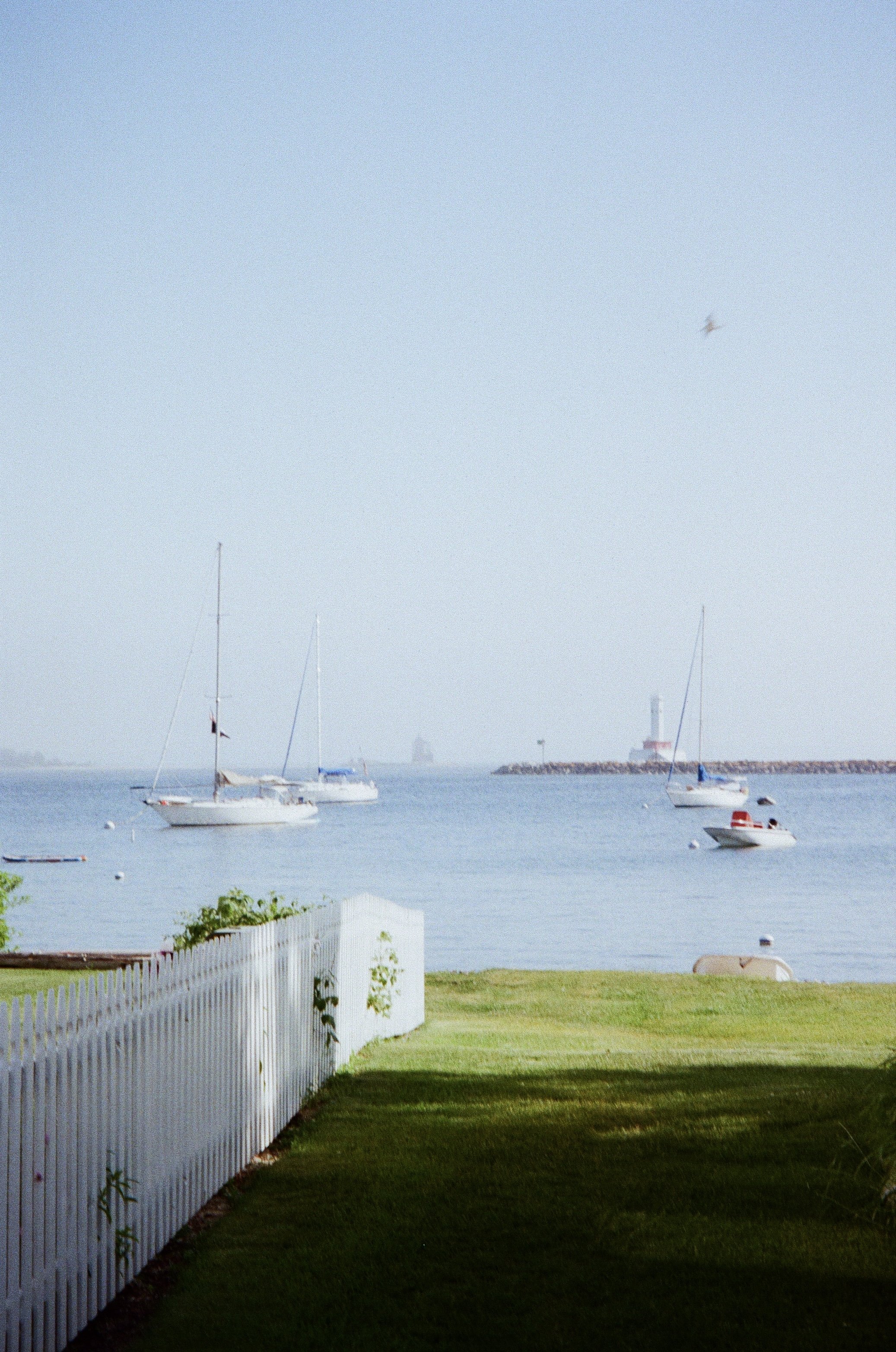 IMG_3754.jpg